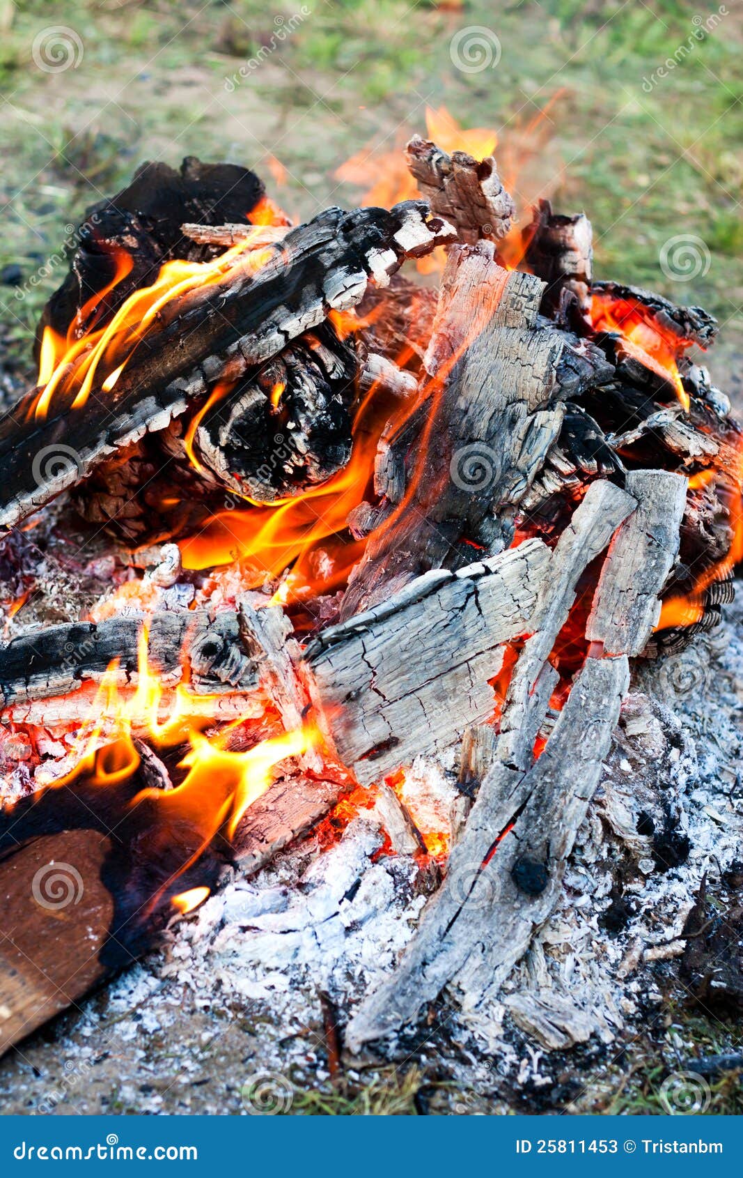 Campfire stock image. Image of burning, warm, coal, outdoor - 25811453