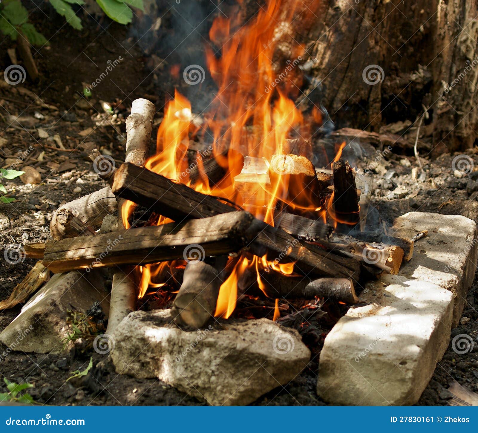 Campfire stock image. Image of camping, flame, firewood - 27830161
