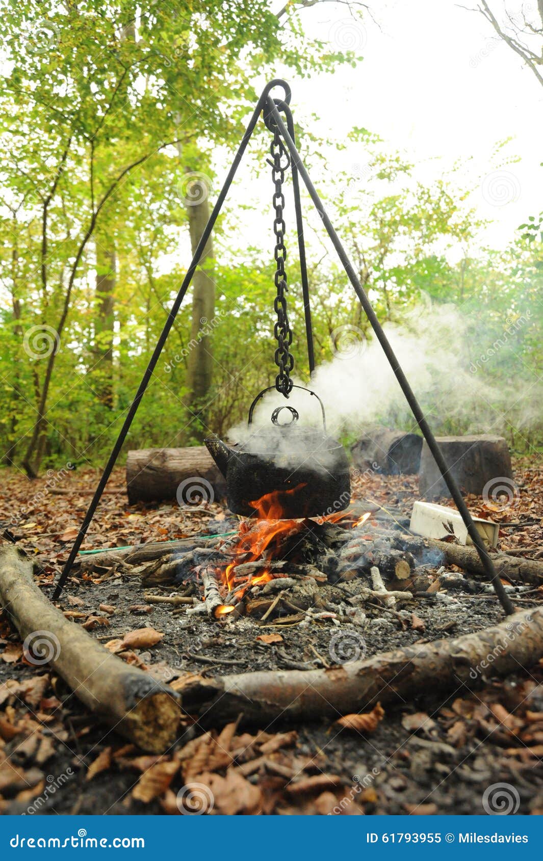 Campfire Boiling a Kettle stock image. Image of beverage 61793955