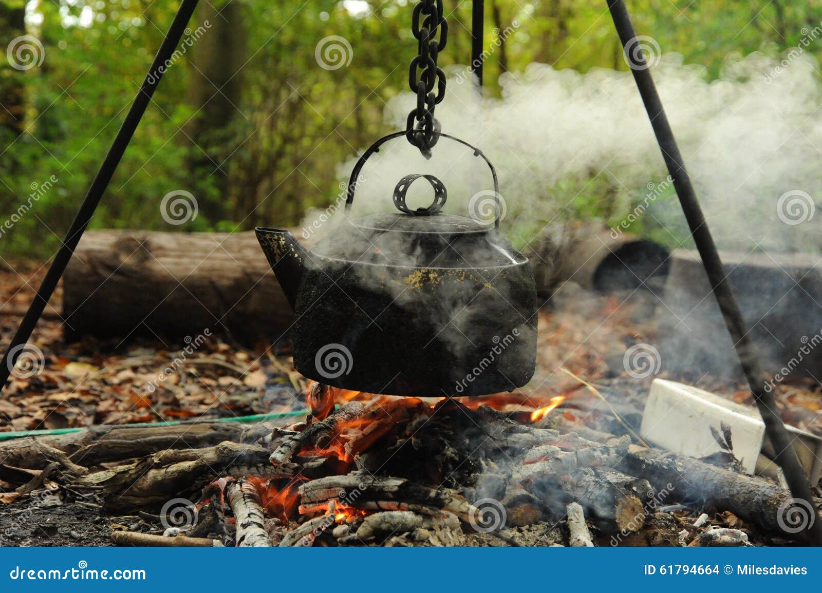 Campfire Boiling a Kettle stock photo. Image of cauldron 61794664