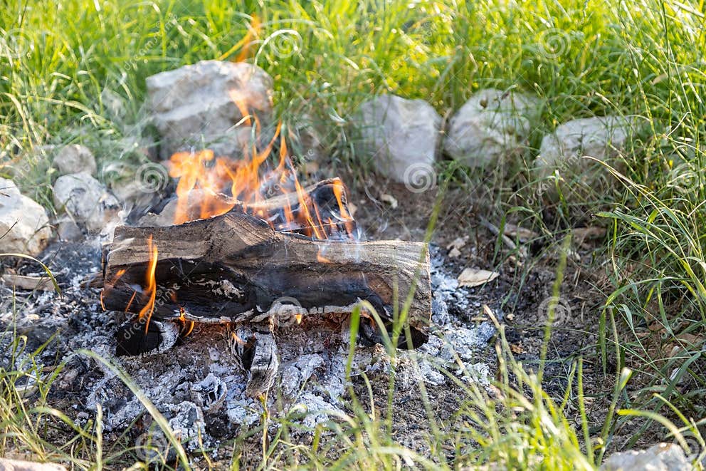 Campfire Burning in the Field Surrounded by Green Grass and Stones ...