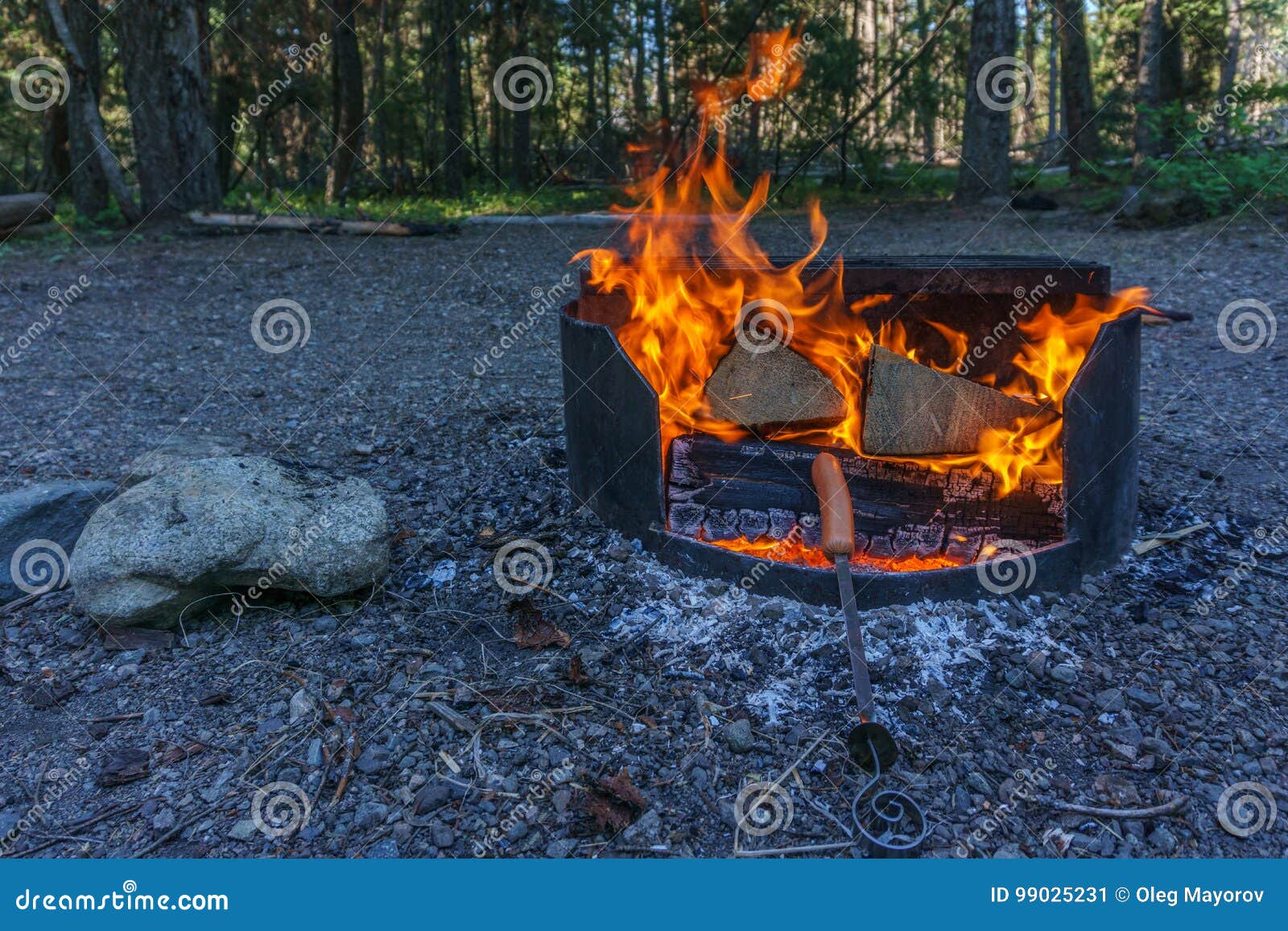 Campfire and Firewood at Camping Site in the Forest British Columbia ...
