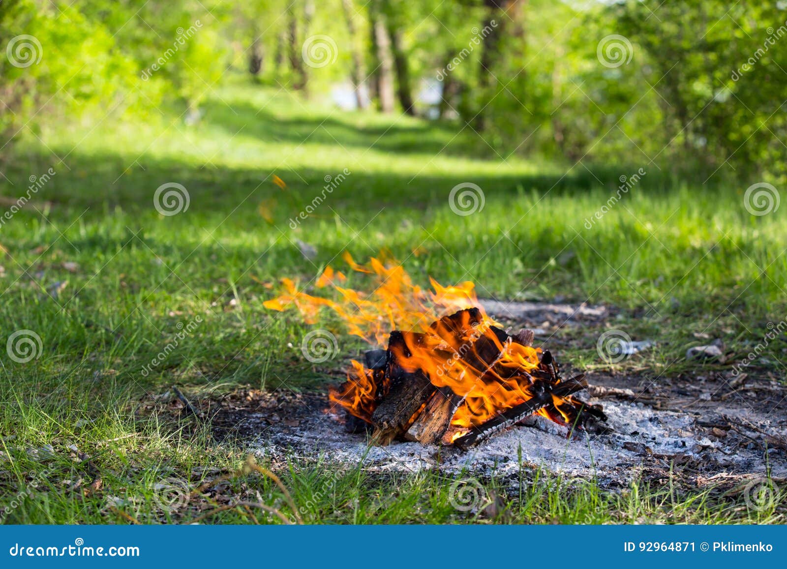 Campfire on Green Meadow in Forest Stock Image - Image of coal, energy ...