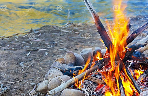 Campfire stock image. Image of ignite, campfire, firewood - 31513951