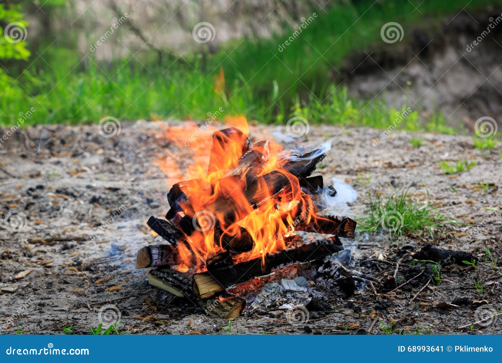 Campfire on Meadow in Green Forest Stock Image - Image of coal, light ...
