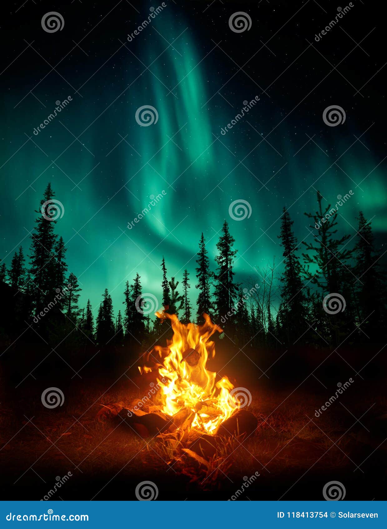 campfire in the wilderness with the northern lights