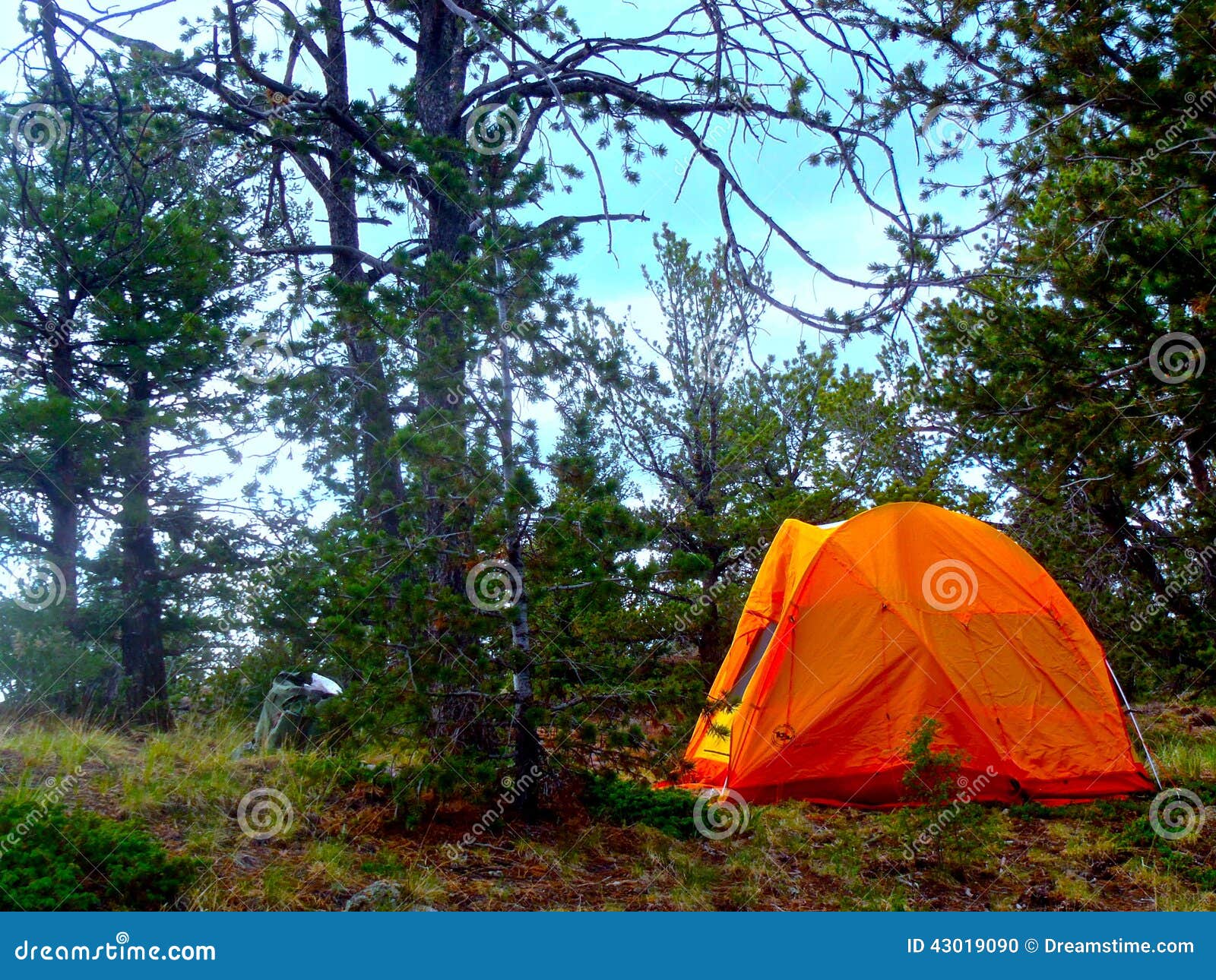 Camping in Colorado stock photo. Image of adventure, woodland 43019090
