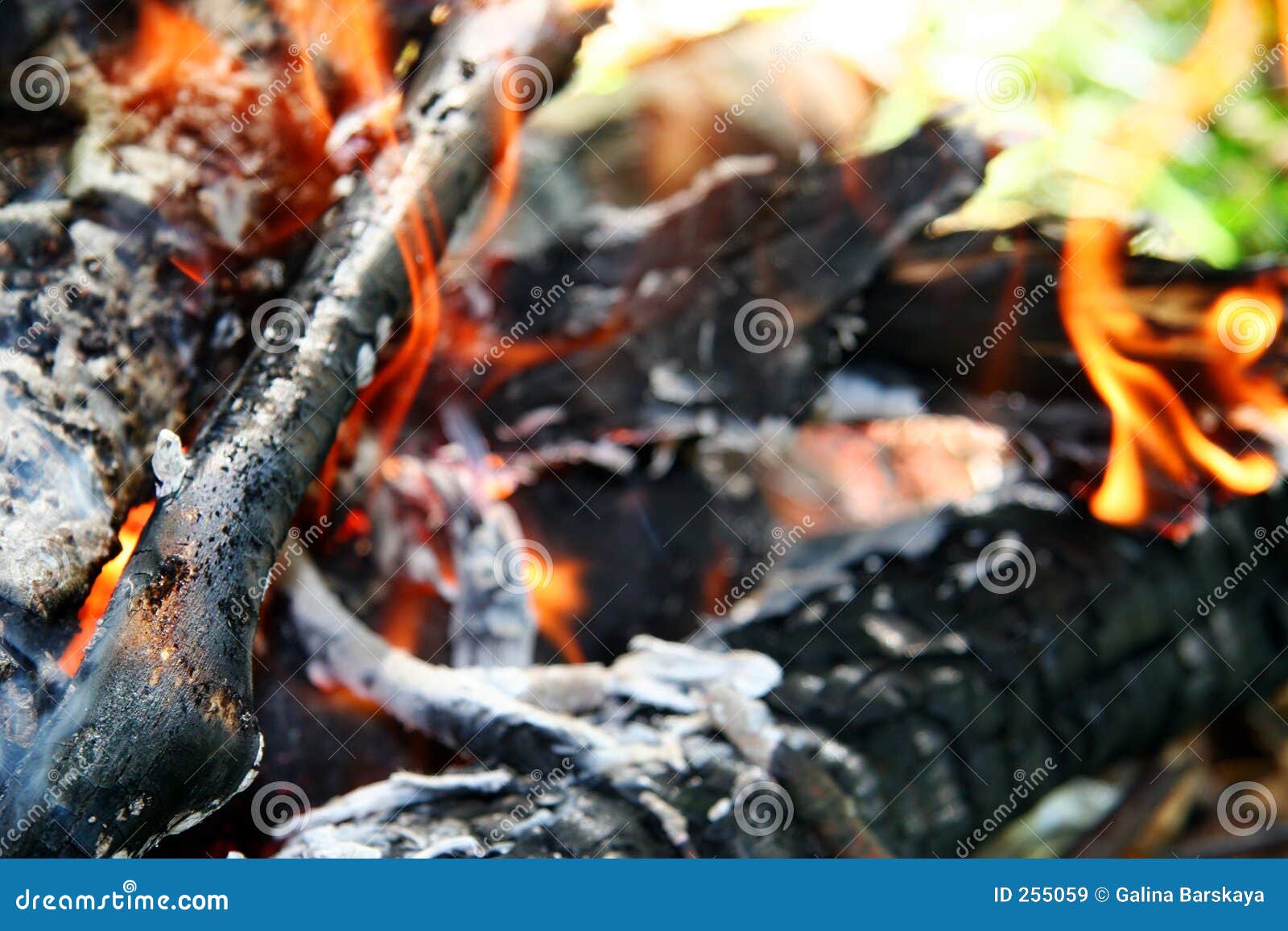 Camping fire stock image. Image of texture, bright, night 255059