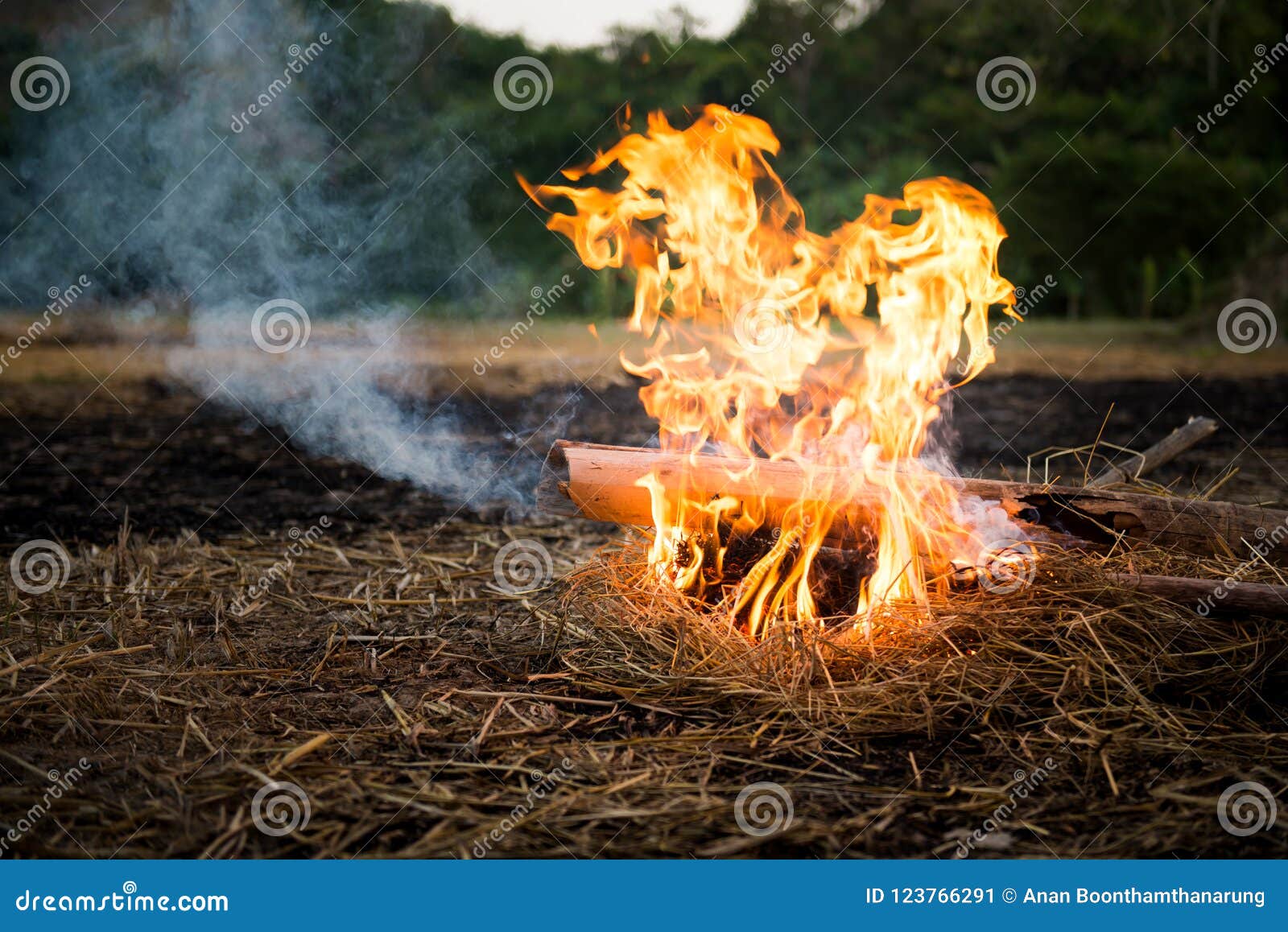 Camping fire on the ground stock image. Image of black - 123766291