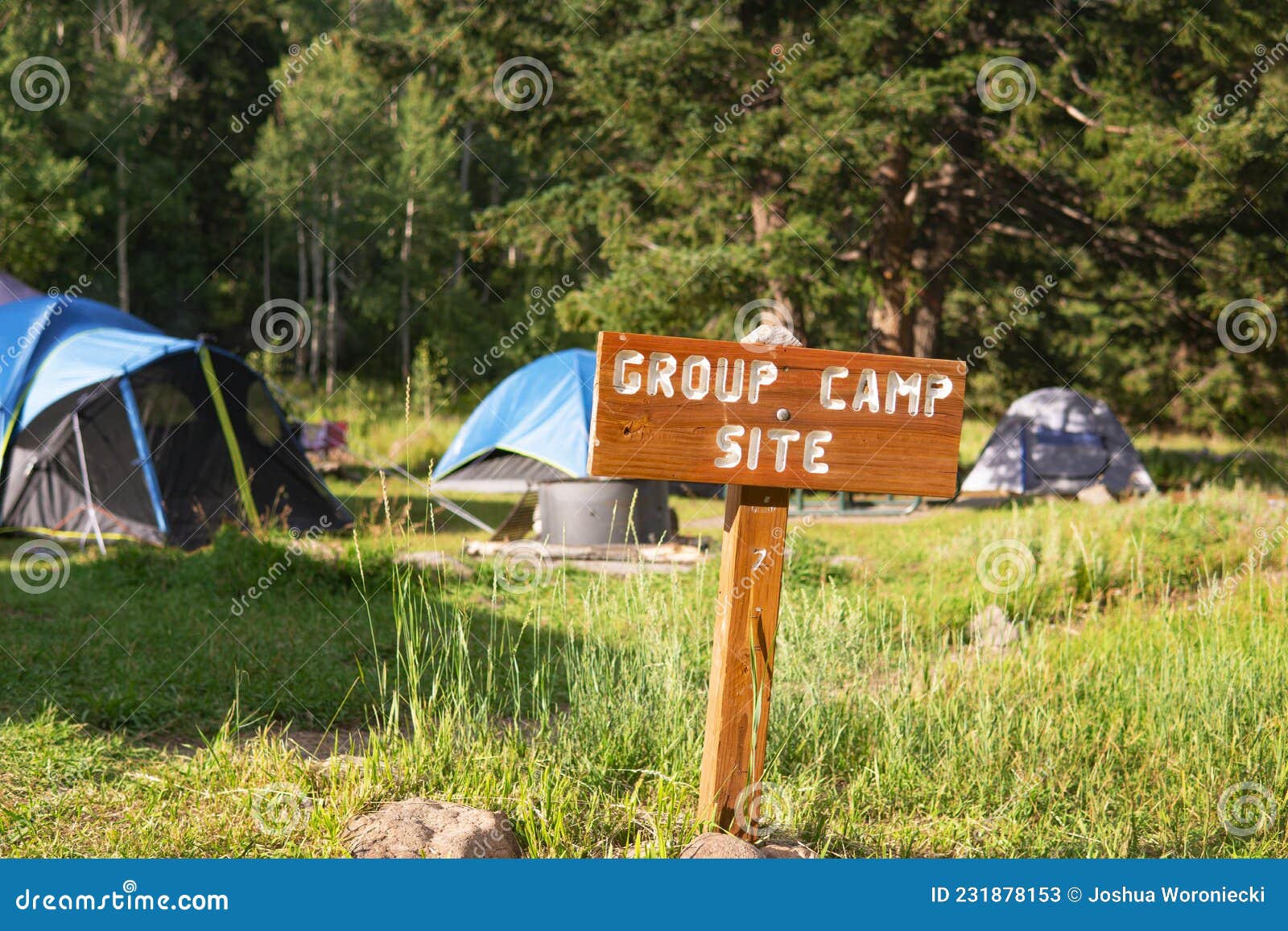 Camping Grupal En Bosques Silvestres Camping Imagen de archivo Imagen