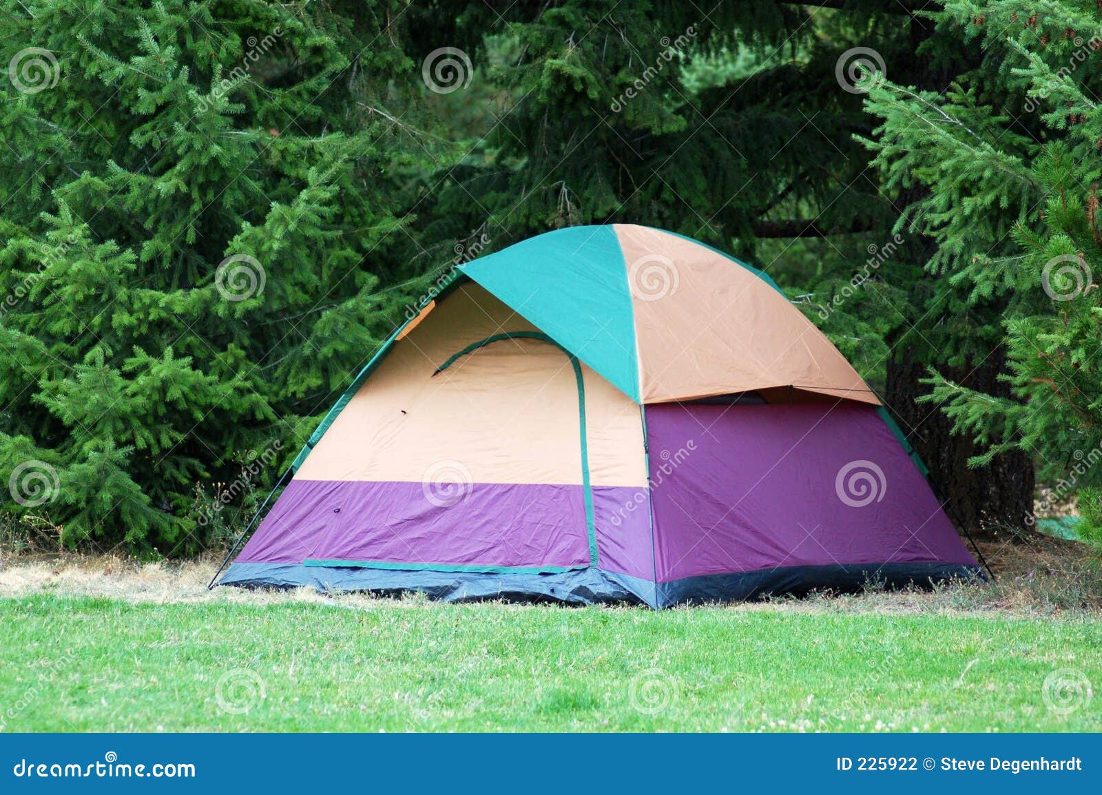 Camping Tent stock photo. Image of rough, forest, woods 225922