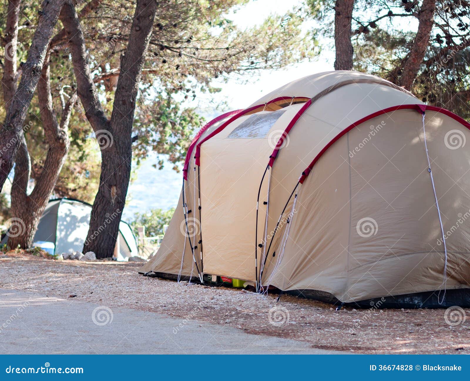Camping Tent at Sea Beach Summer Stock Photo Image of nature, camping