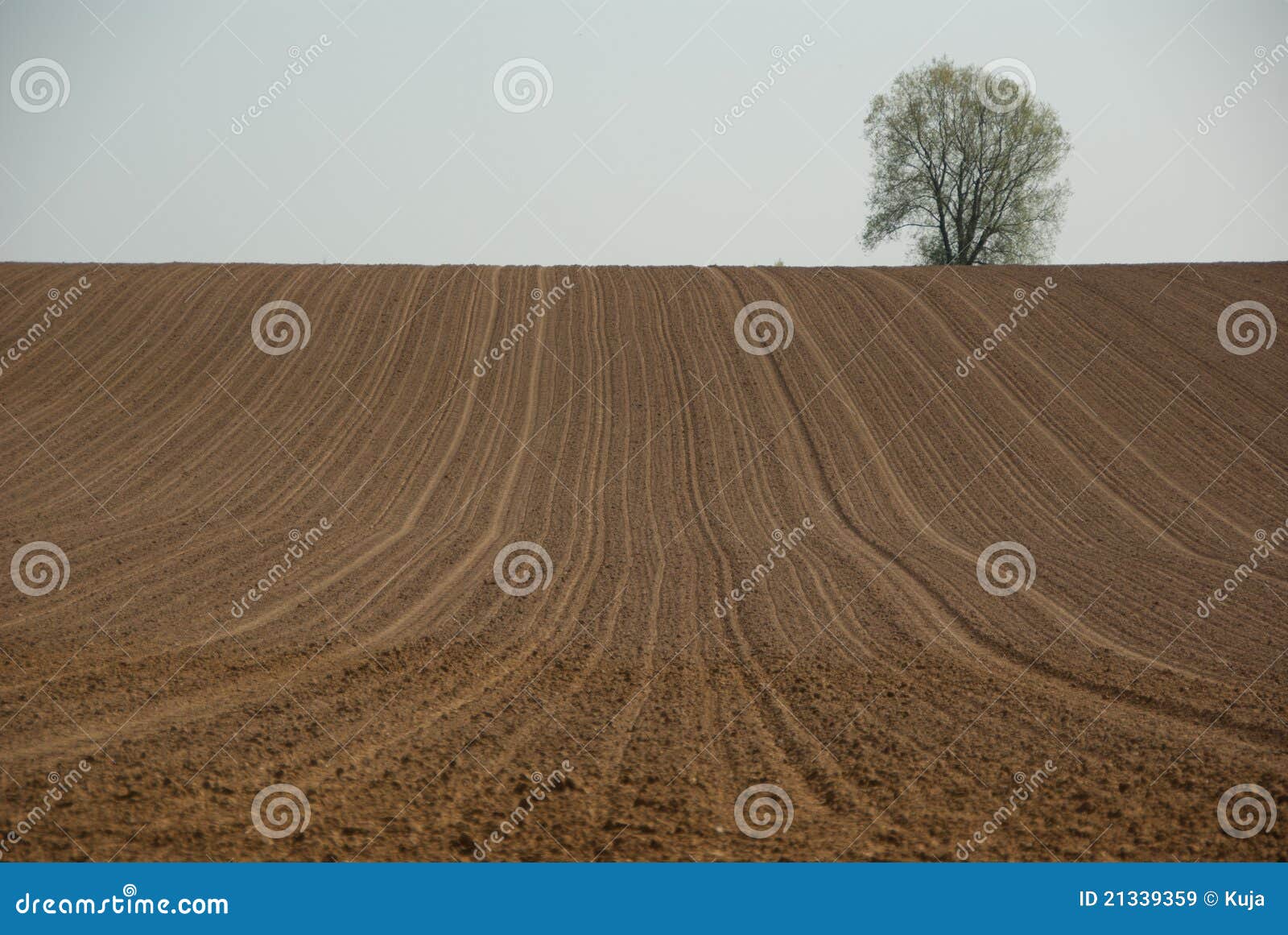Вспахали 5 7 поля найдите. Вспаханные склоны почвы. Вспаханное поле. Покажи Вспаханное поле.