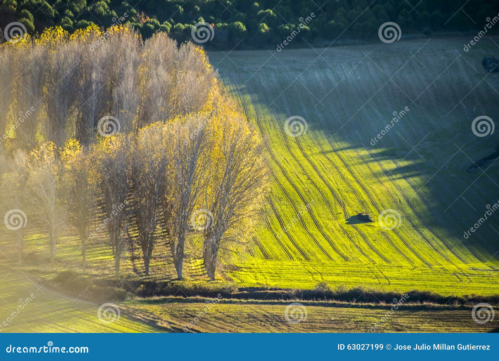 campo castilla