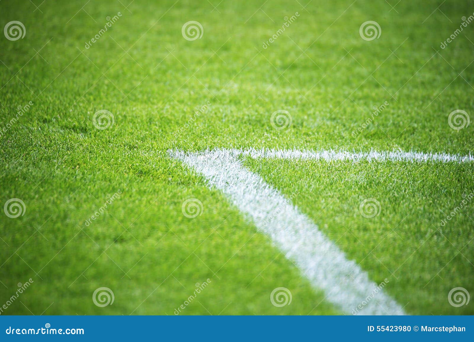 Venta de camisetas de futbol baratas