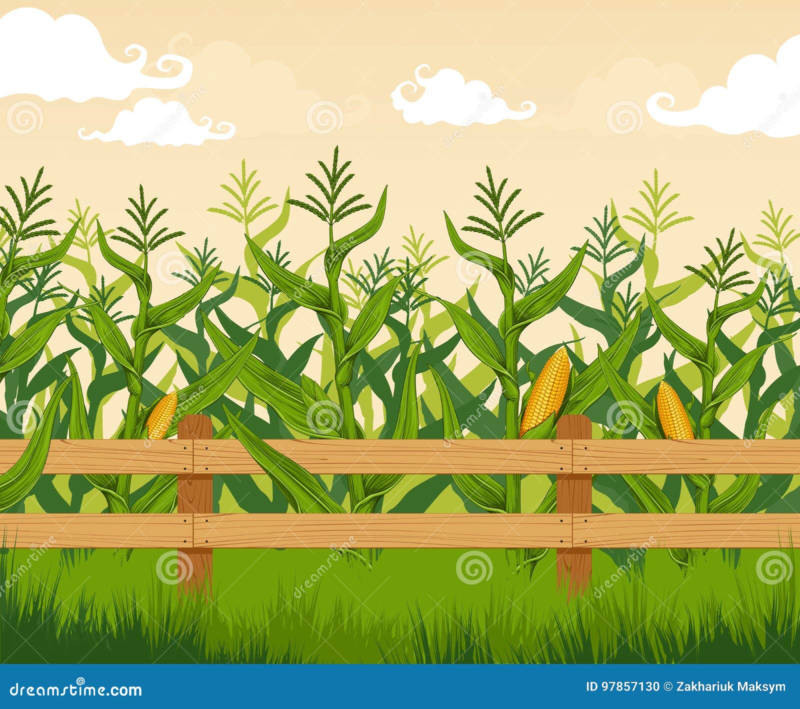 Agronomía Ilustraciones Stock, Vectores, Y Clipart – (45,372 Ilustraciones  Stock), image size:1600x1419