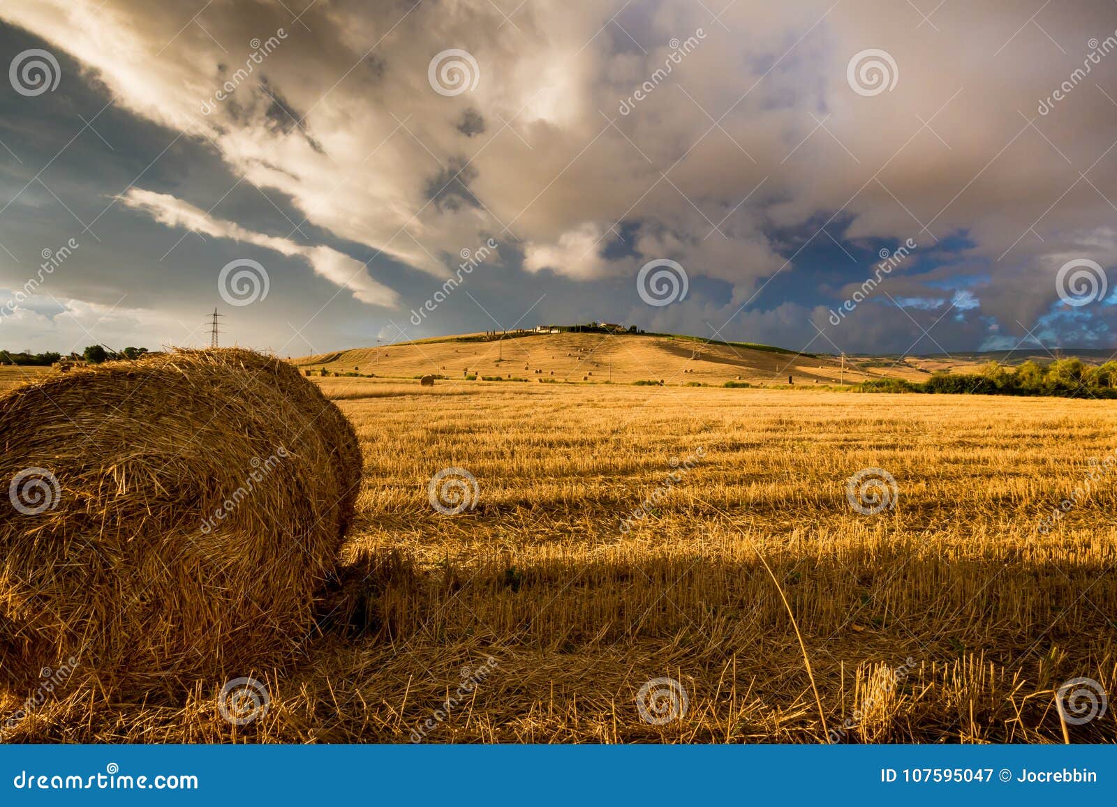 Campo de trigo de Toscana durante puesta del sol tempestuosa en verano