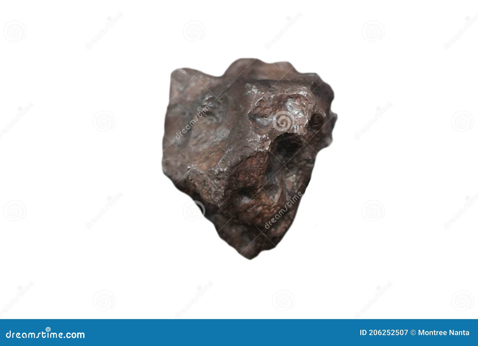 specimen of campo del cielo iab iron meteorite  on white background.