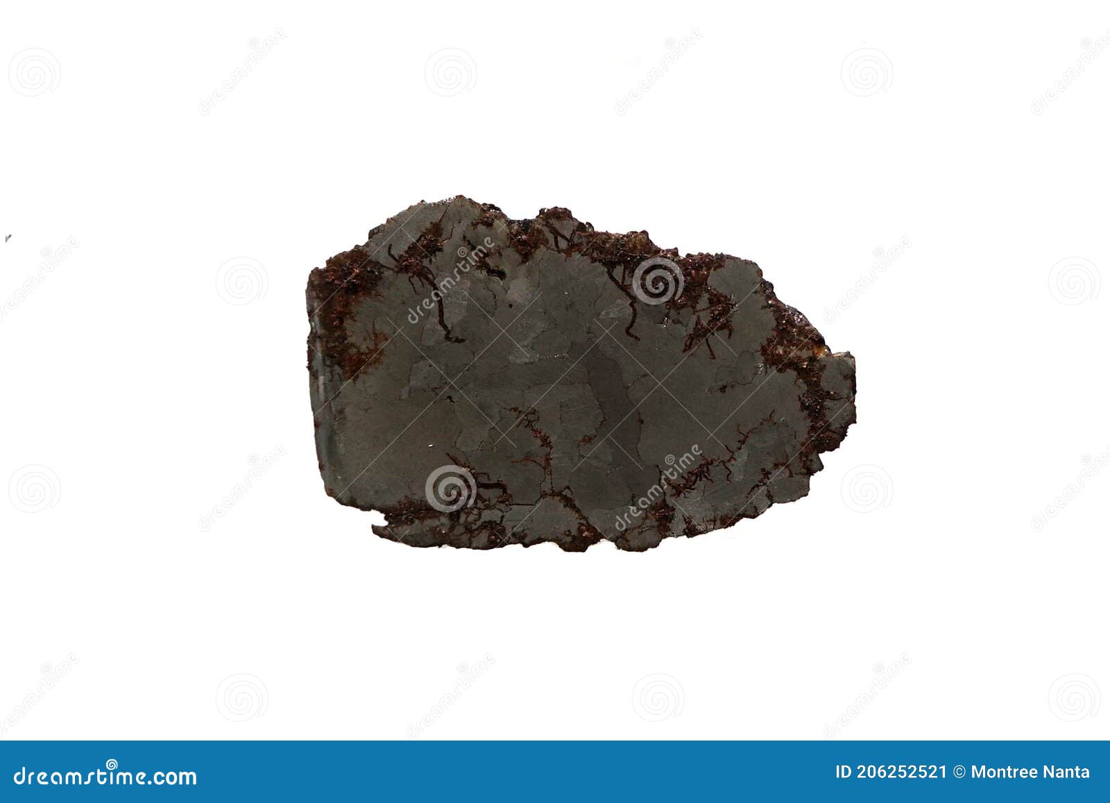 specimen of campo del cielo iab iron meteorite  on white background.