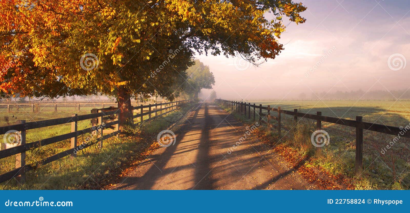 Campo en otoño. Un carril del país en la luz del otoño de la mañana.