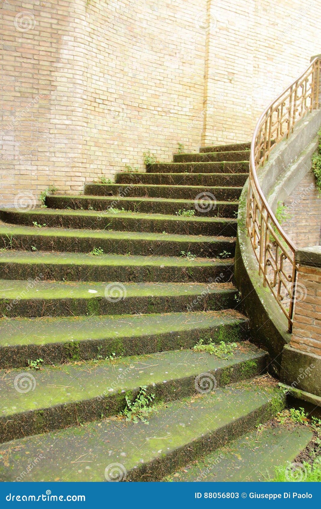 campo verano cemetery in rome