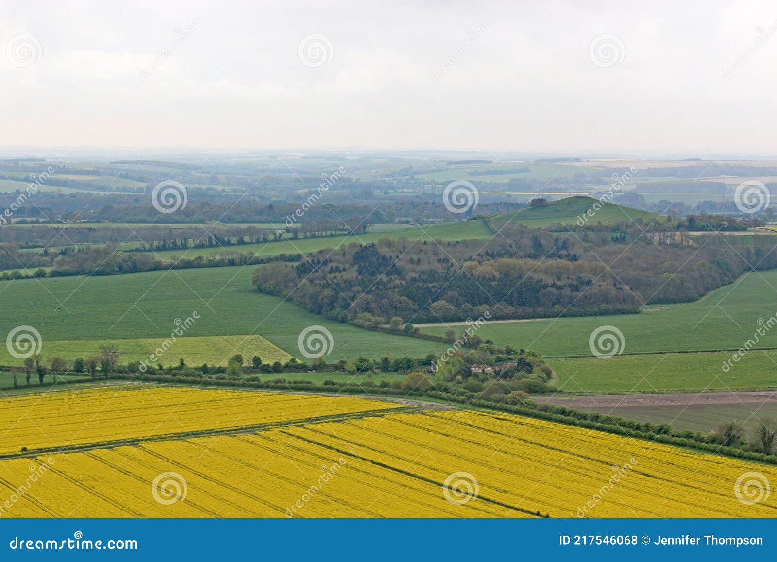 Campos De Milk Hill Wiltshire Foto de archivo Imagen de granja