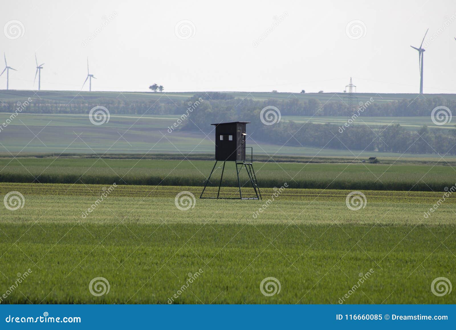 Campos medios de un alto asiento. Un alto asiento para cazar situada entre los campos en Austria