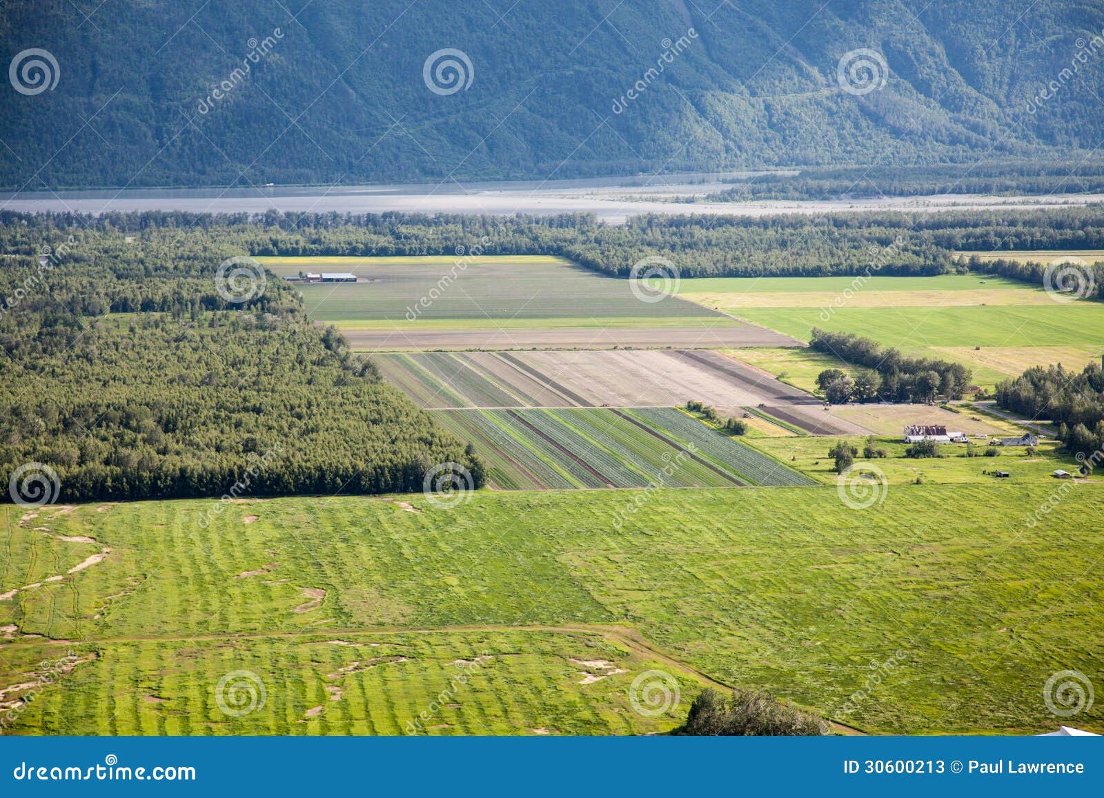 Campos rurales en Alaska imagen de archivo. Imagen de verano 30600213