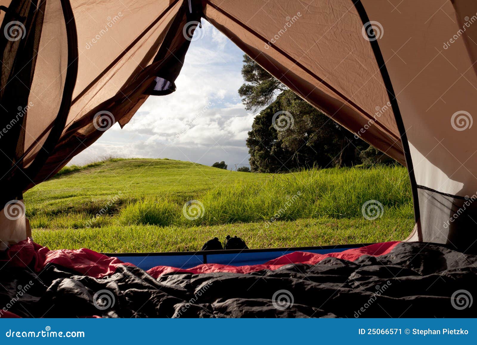 Campsite Nature View from Inside a Tent Stock Image - Image of ...