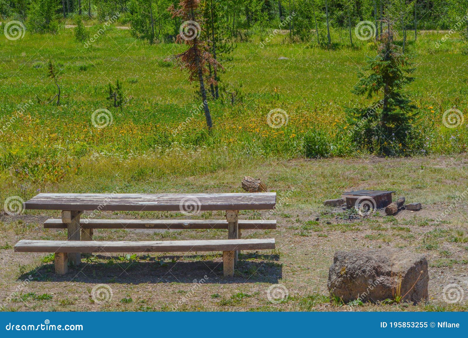 campsite with a picnic table and fire pit in freeman reservoir campground. in the routt national forest of the rocky mountains in