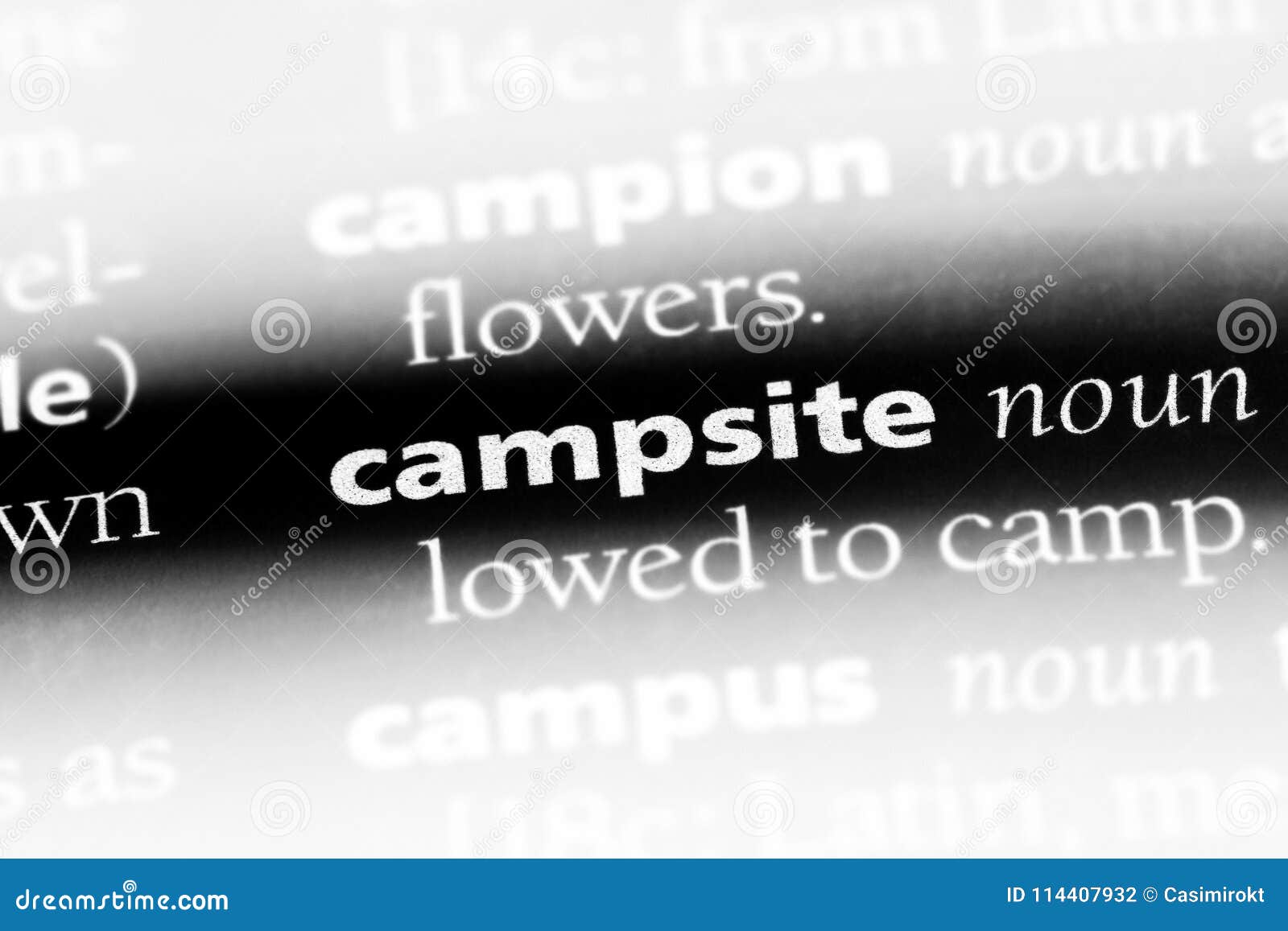 Campsite stock photo. Image of isolated, page, info 114407932