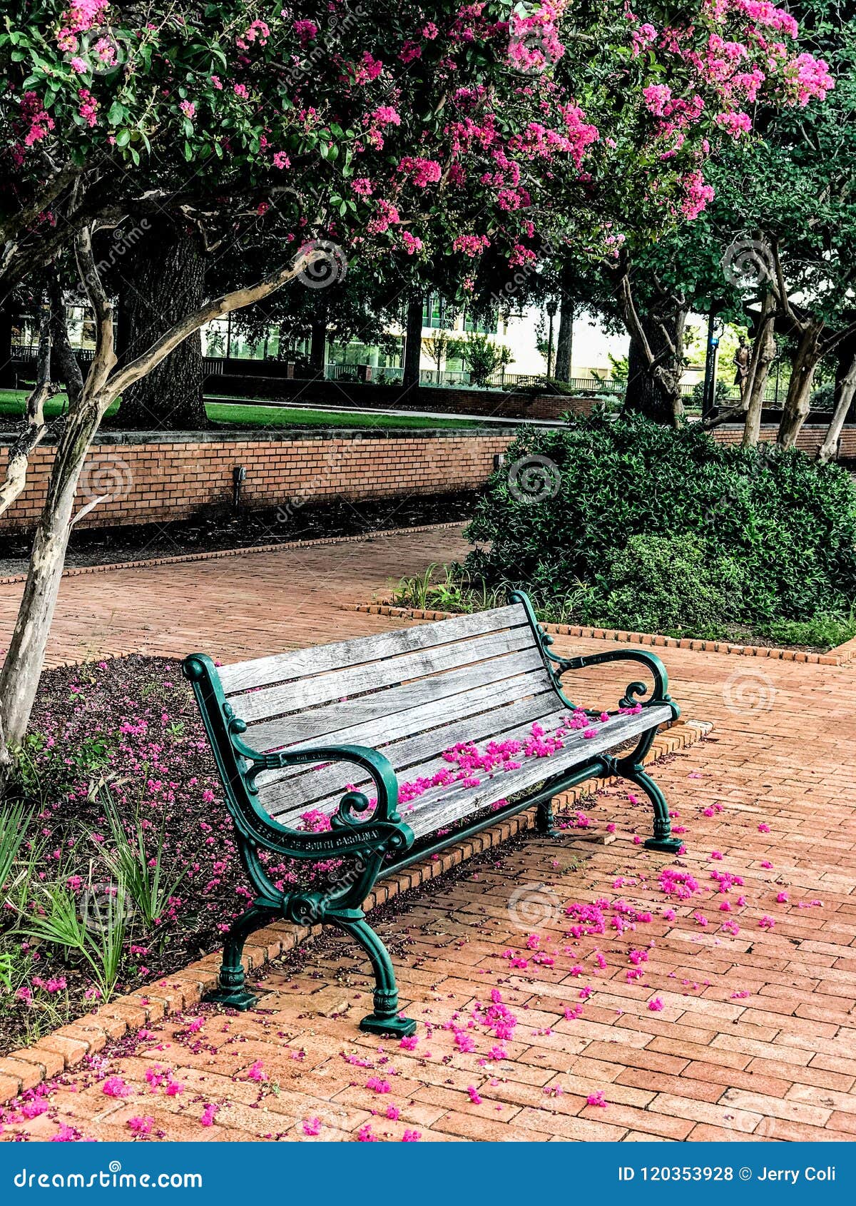 The University of South Carolina in Columbia Editorial Stock Photo