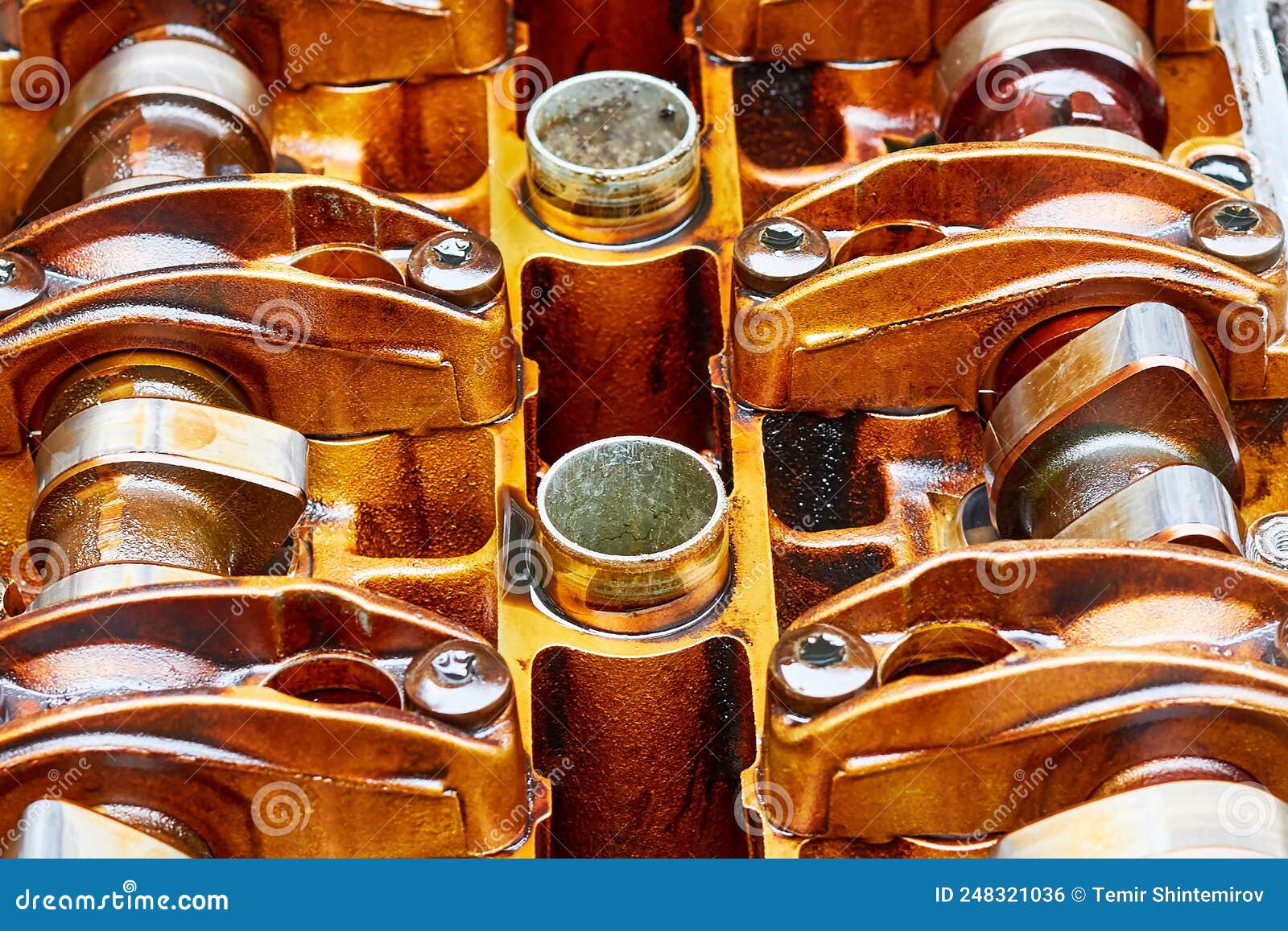 The Camshaft of the Car Engine in Oil Stock Photo Image of automotive