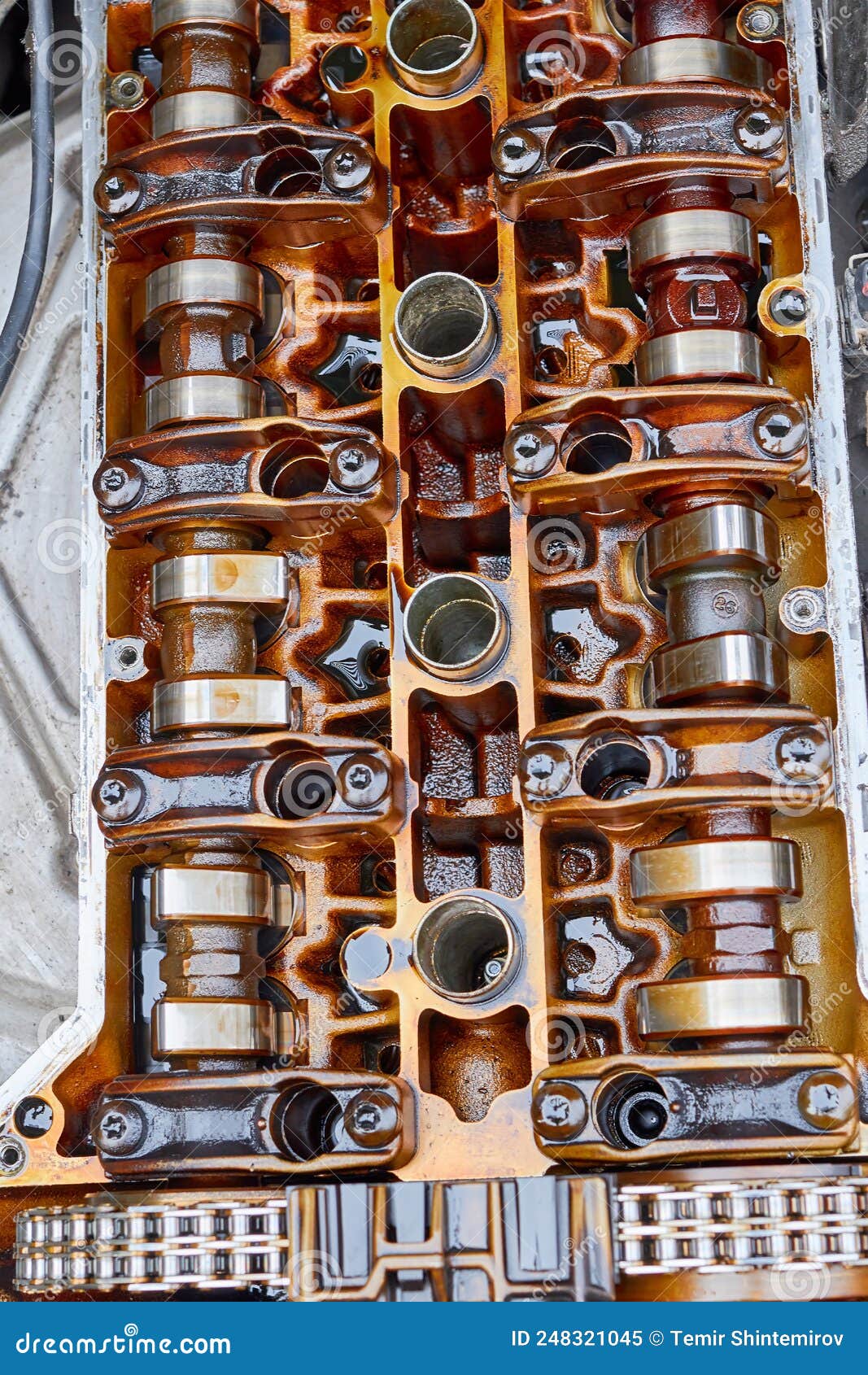 The Camshaft of the Car Engine in Oil Stock Image Image of gear