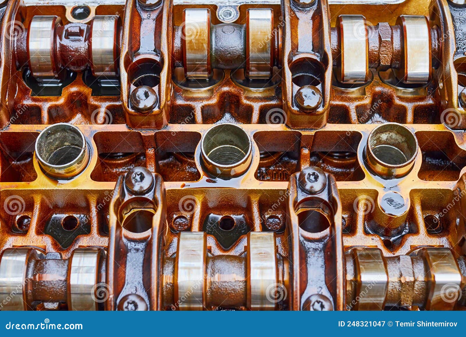 The Camshaft of the Car Engine in Oil Stock Image Image of shaft