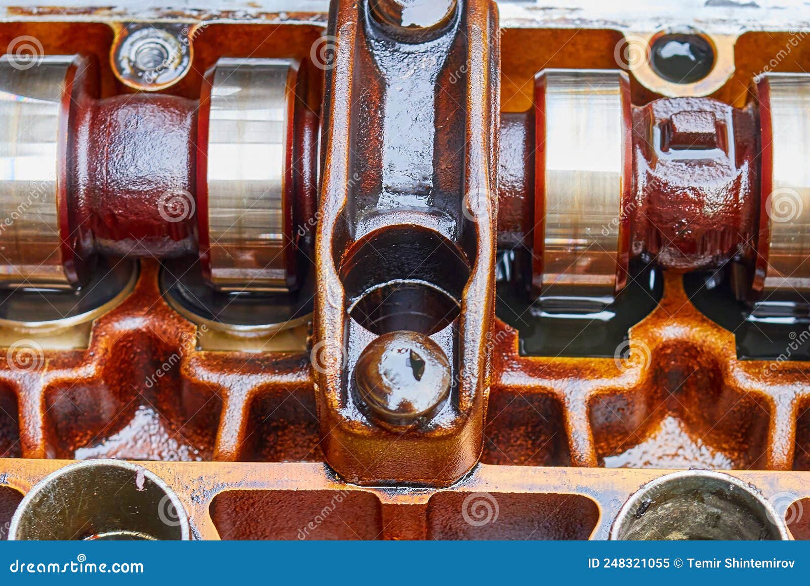 The Camshaft of the Car Engine in Oil Stock Image Image of overhaul