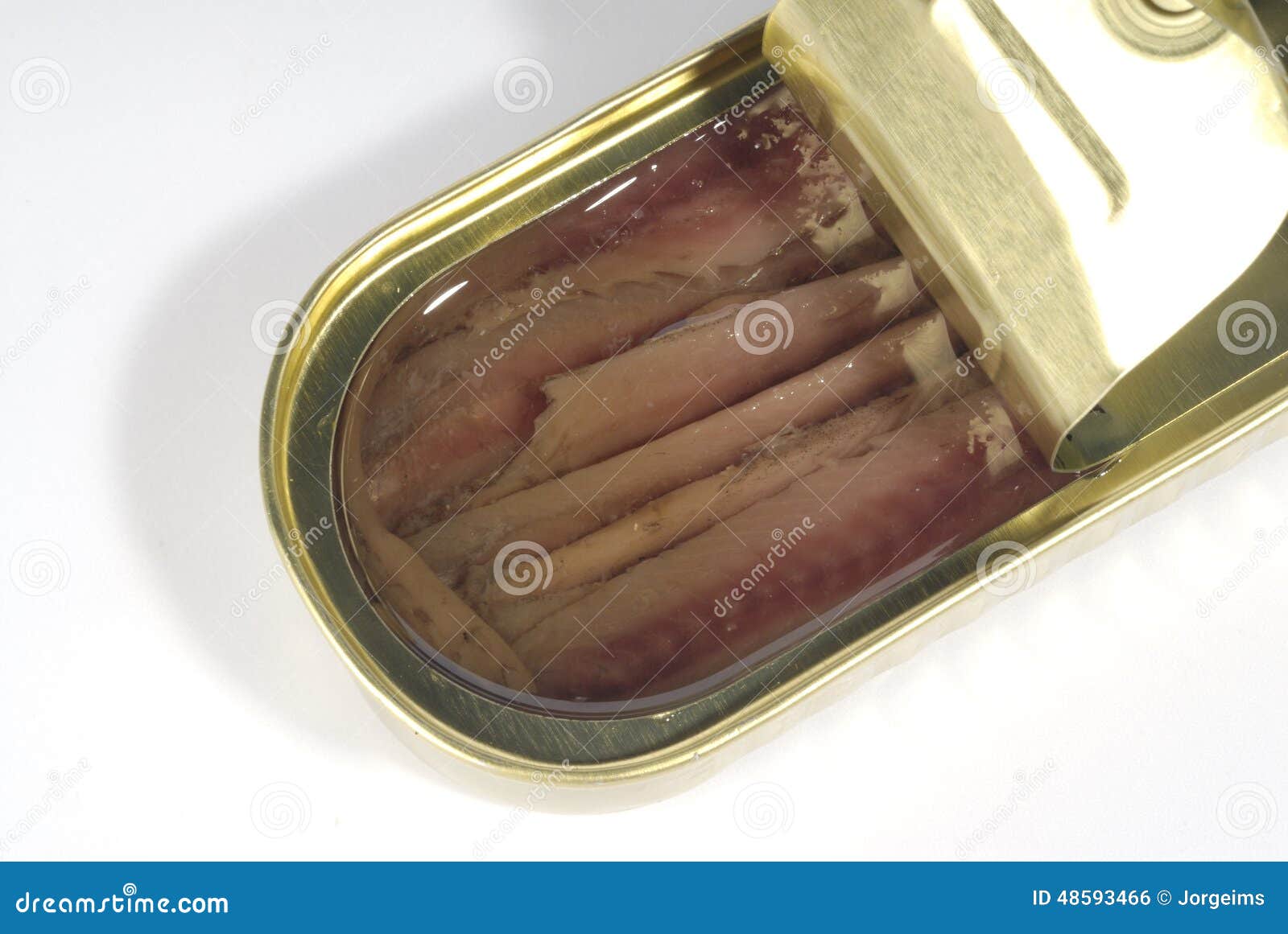 Can of anchovies stock photo. Image of fish, study, white 48593466