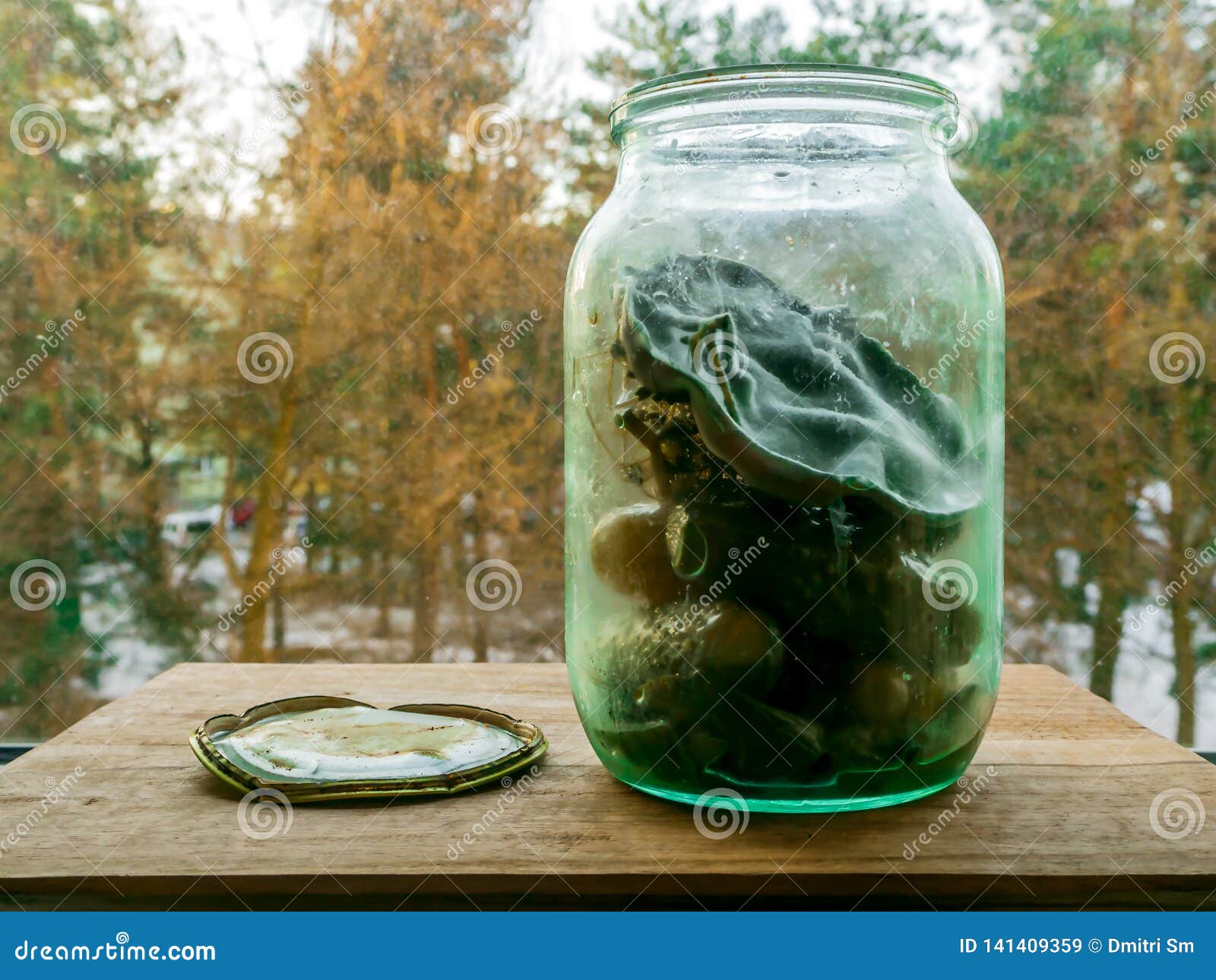 can-pickled-cucumbers-mold-can-pickled-cucumbers-window-background-autumn-winter-forest-huge-texture-141409359.jpg