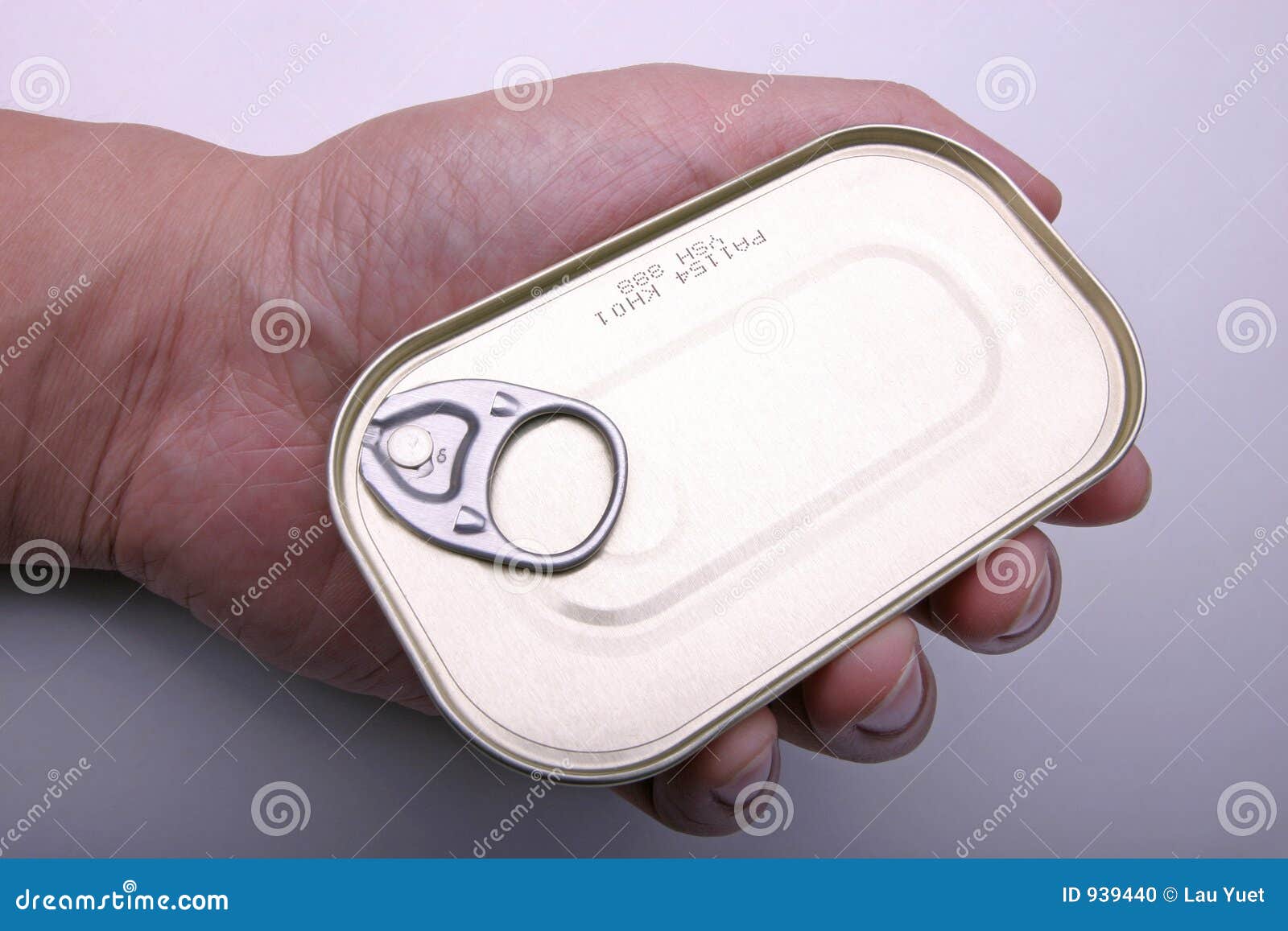 Can of Sardine in hand stock photo. Image of diet, lunch 939440