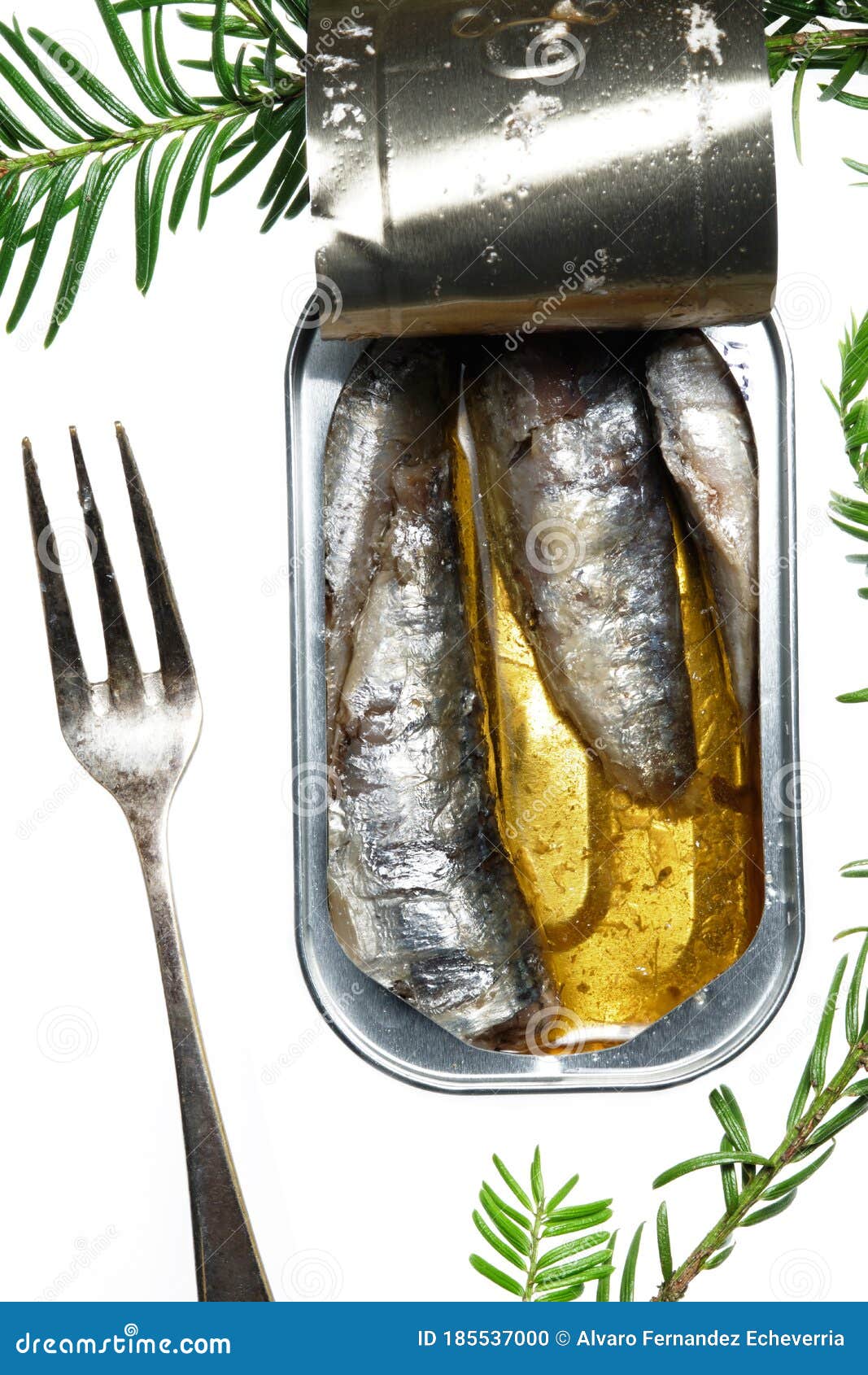 Can of sardines in oil stock photo. Image of tinned ...