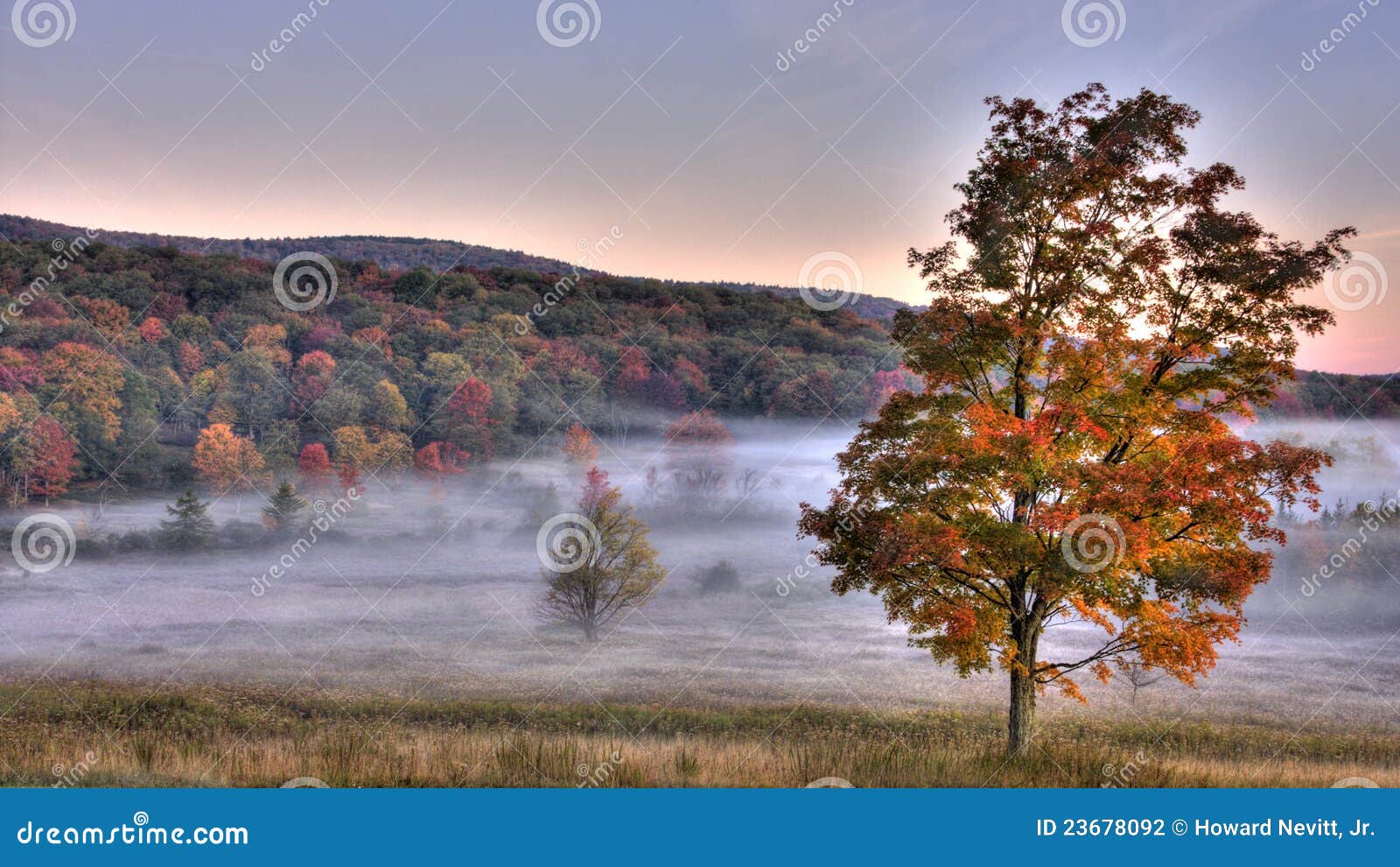 Canaan Valley Fall Scene stock photo. Image of tree, mountain 23678092