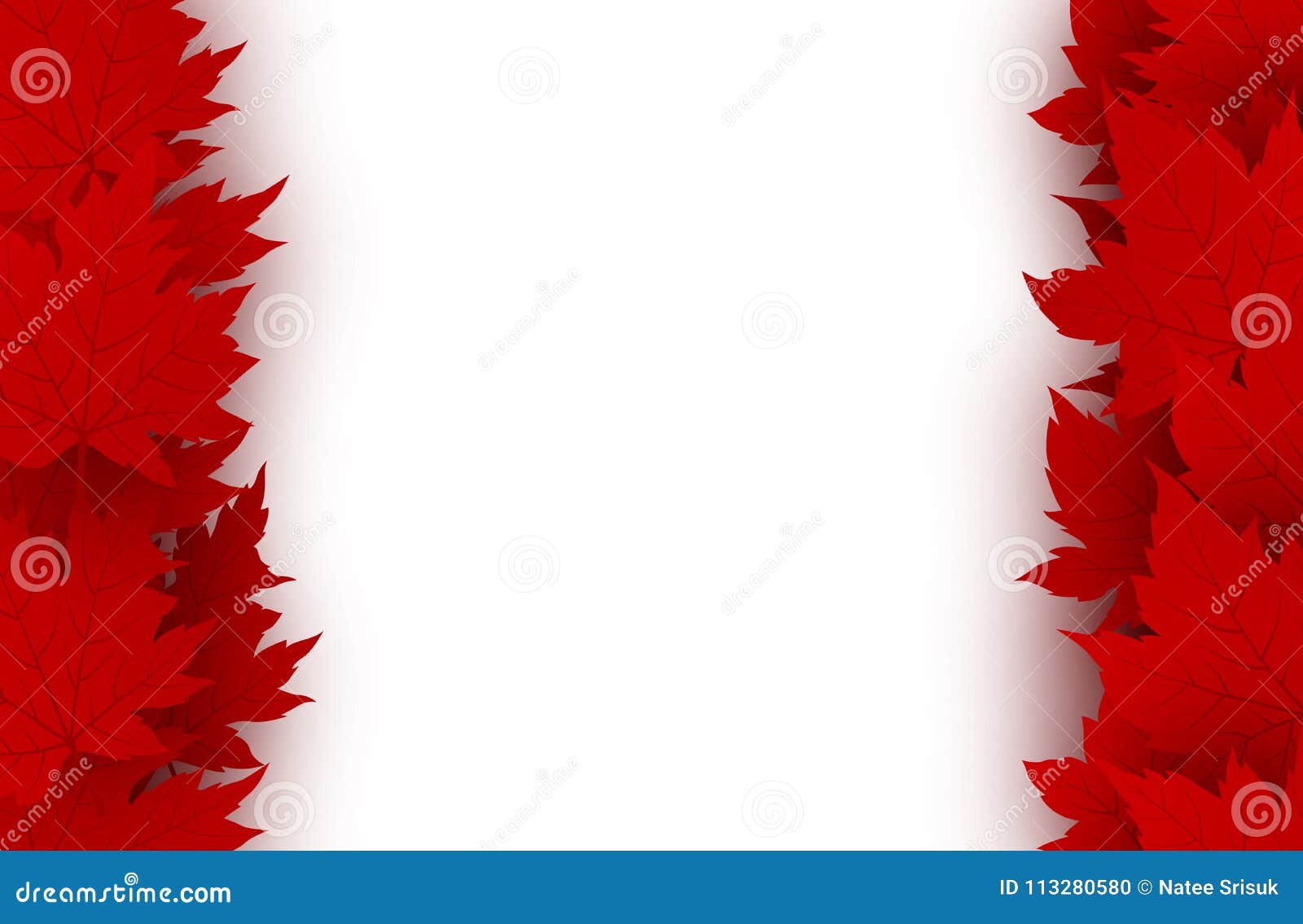 Canada Day Background Design Of Red Maple Leaves Isolated On White ...