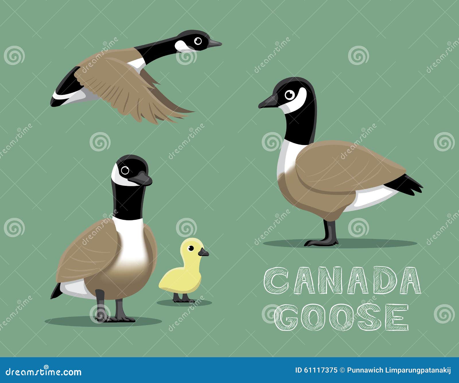 Canada Goose Cartoon Vector Illustration Stock Vector - Illustration of baby, float: 61117375 Canada Goose Cartoon Vector Illustration Stock Vector - Illustration of baby, float: 61117375