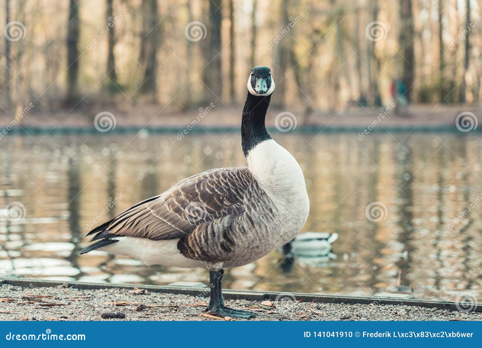 adidas classic mini backpack