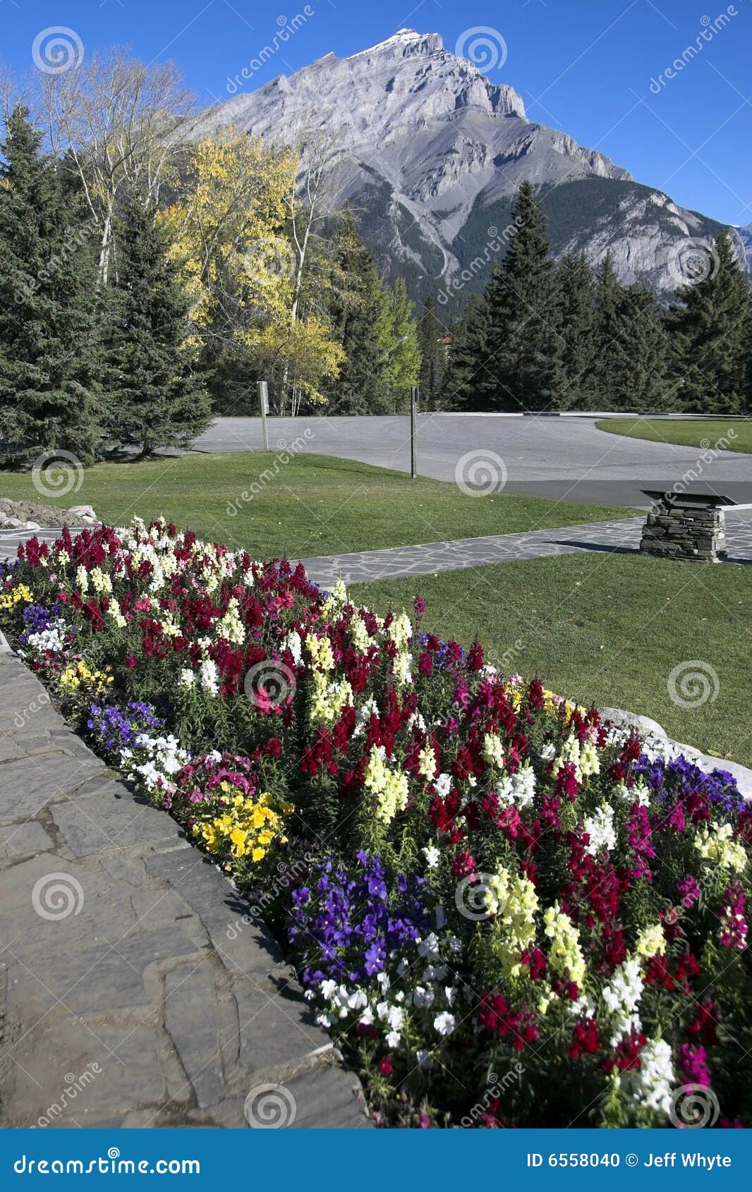 Canada Place Gardens, Banff Stock Photo Image of grounds, townsite