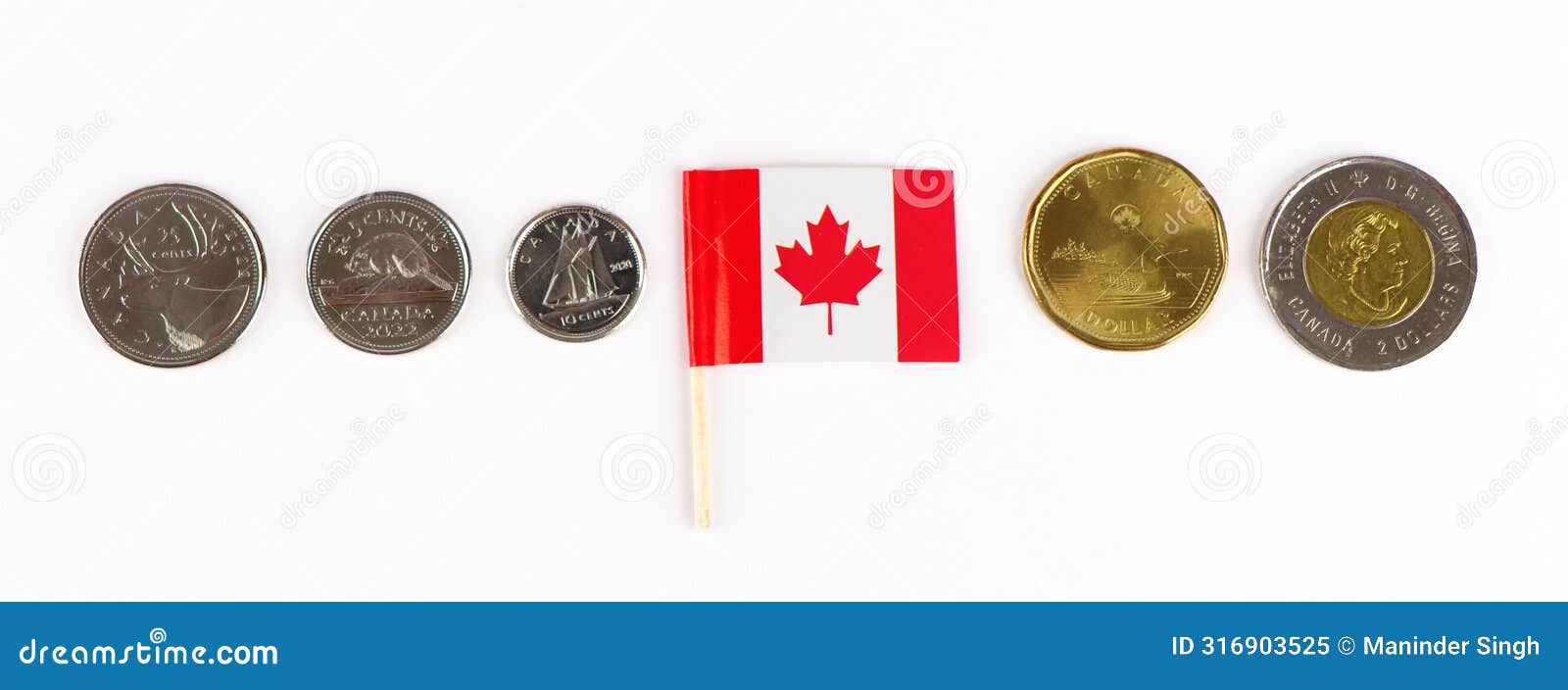 canadian dollar currency coins. circulating canadian dollar coins or currency in the market.