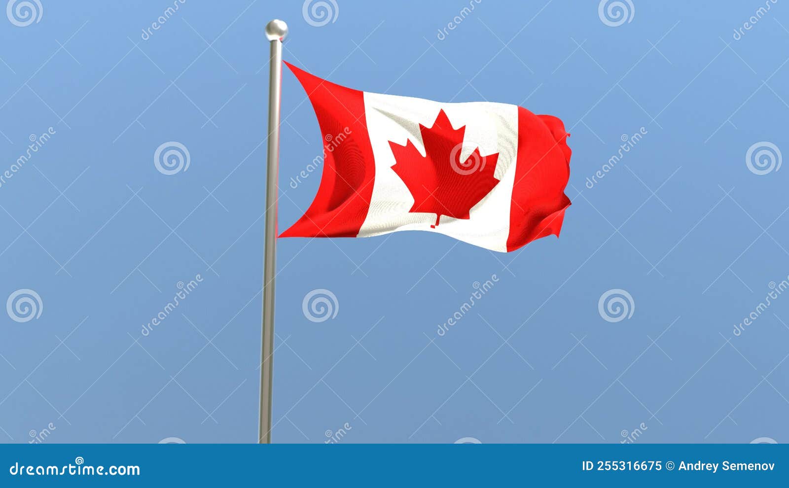 Canadian flag on flagpole. stock video. Video of backdrop 255316675