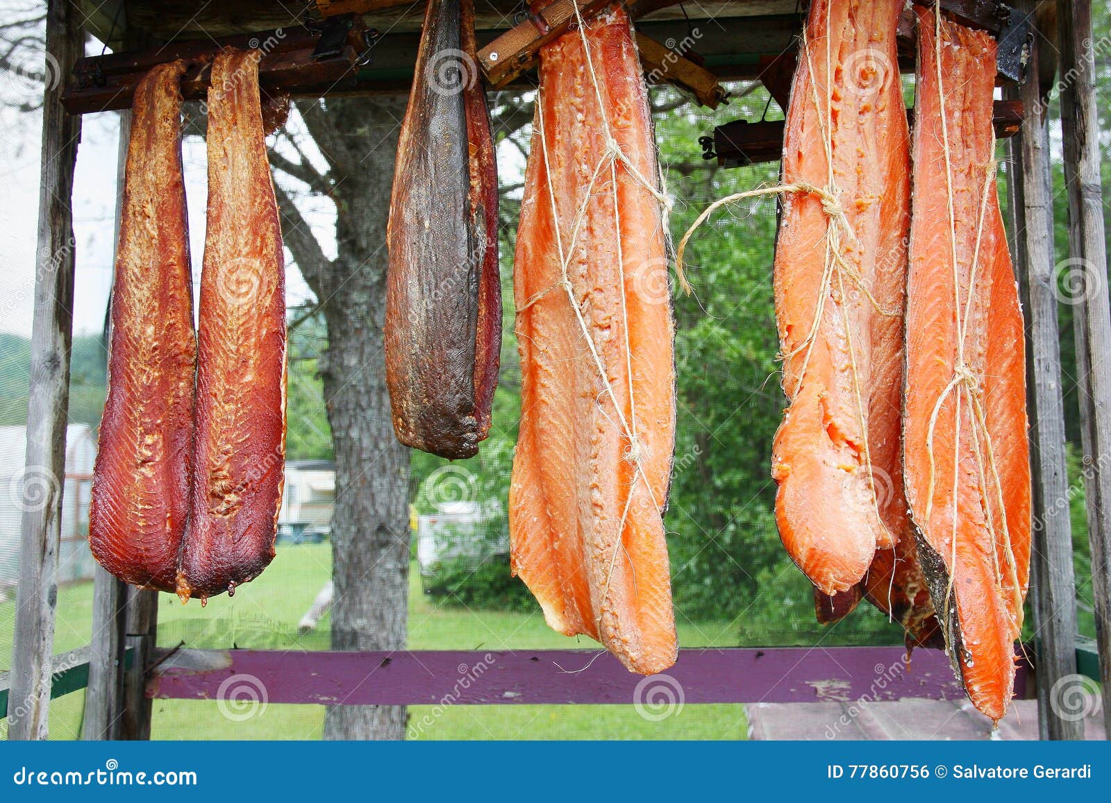 508 Fish Hanging To Dry Stock Photos - Free & Royalty-Free Stock