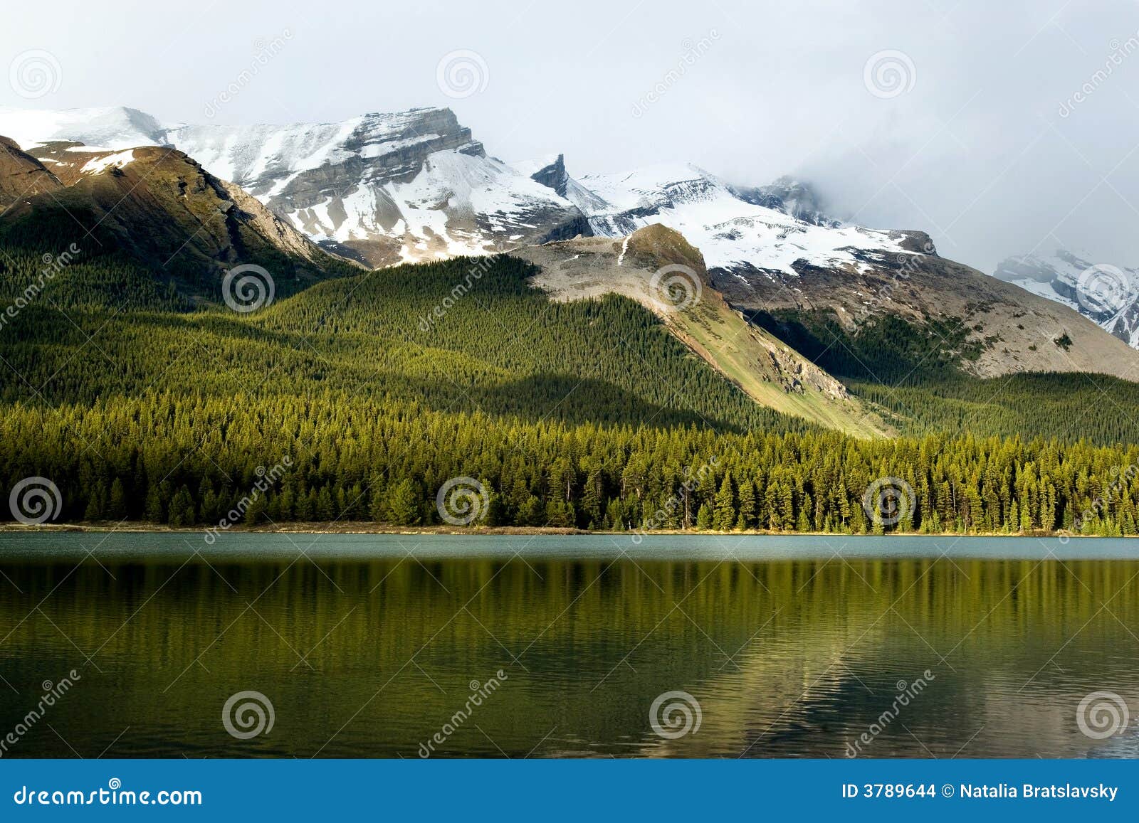 canadian rockies