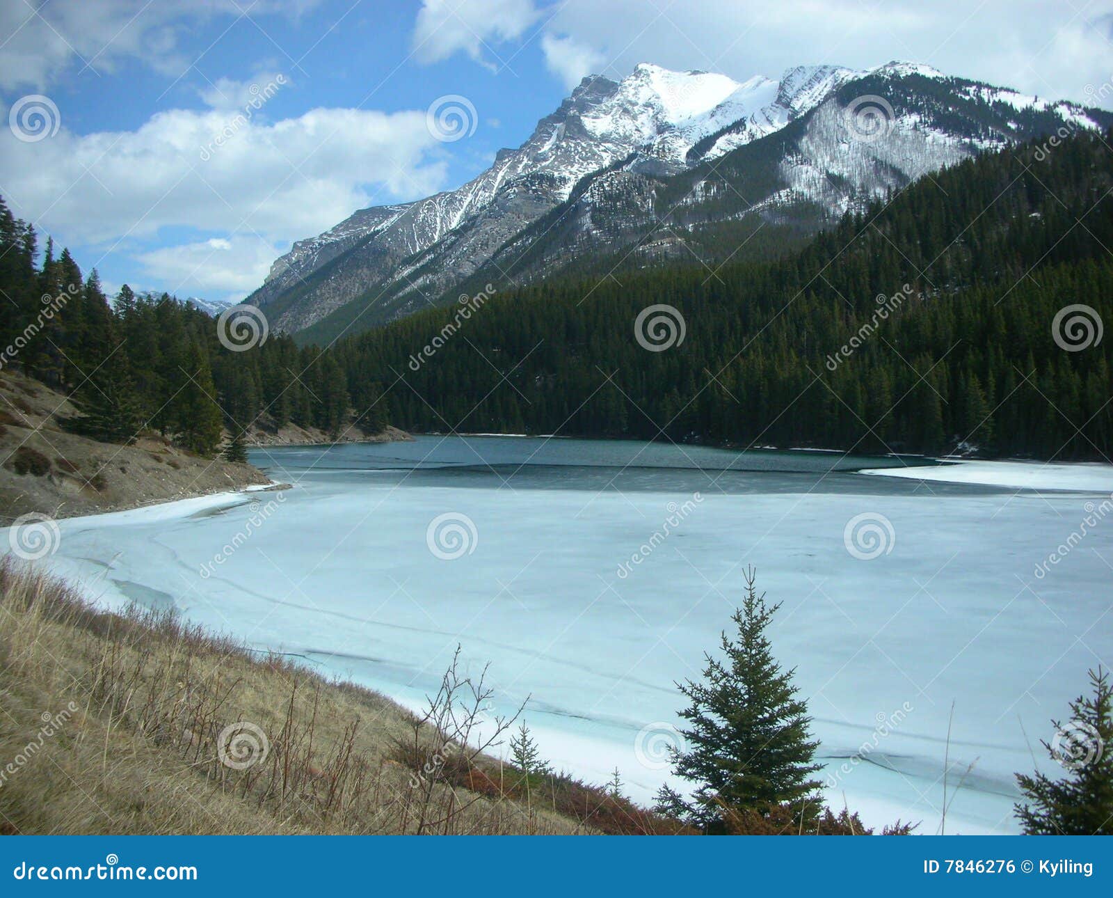 canadian rockies